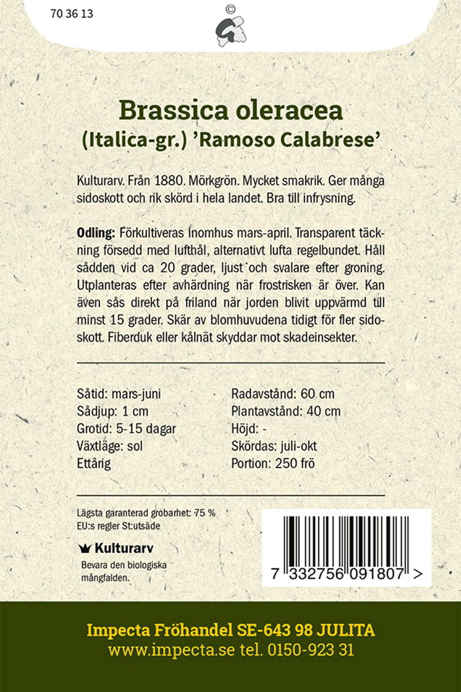 Brassica oleracea (Italica-gr.) 'Ramoso Calabrese'