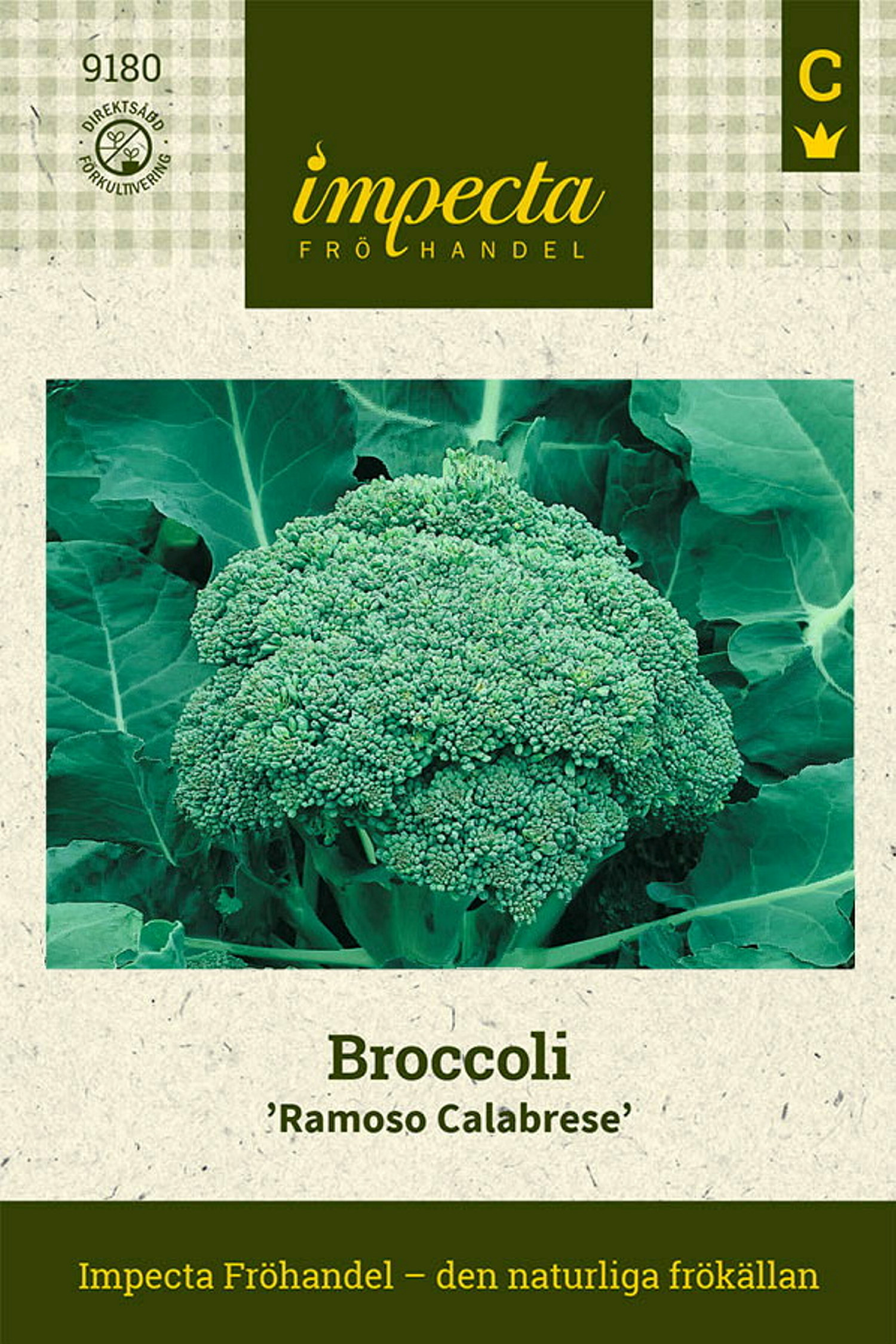 Brassica oleracea (Italica-gr.) 'Ramoso Calabrese'