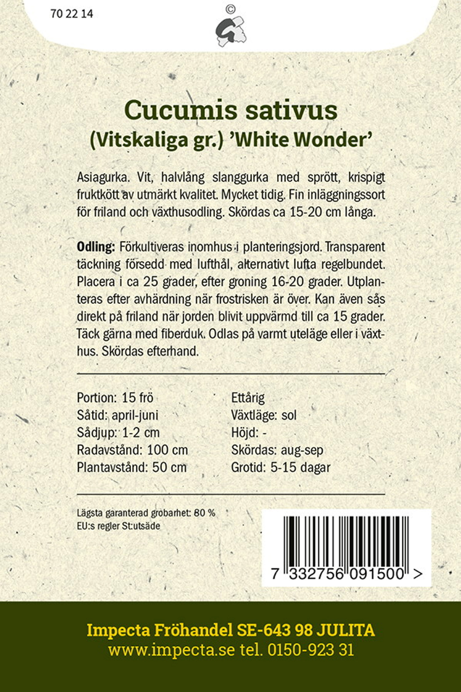 White Wonder-agurk 'White Wonder'