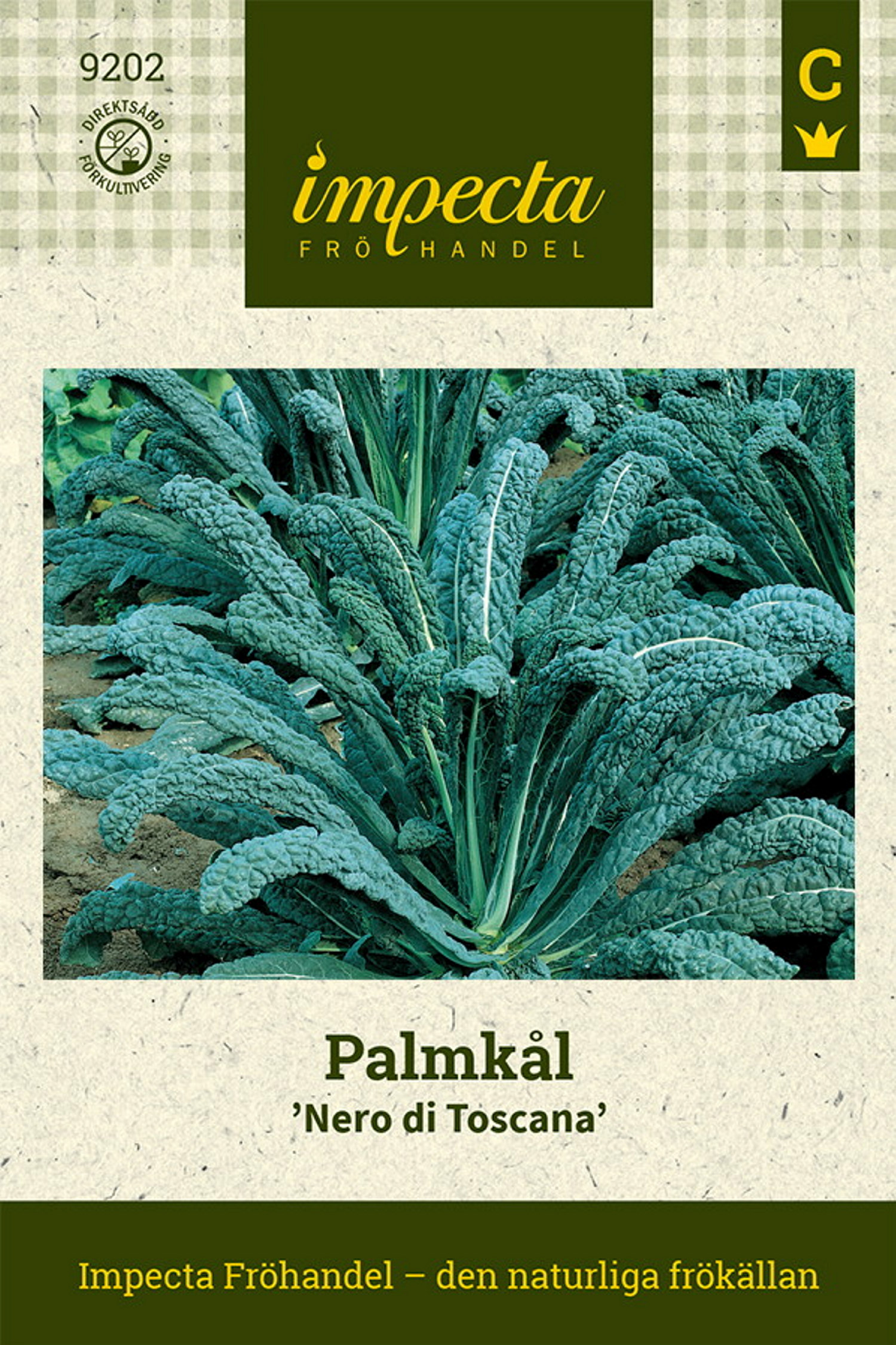 Palmkål 'Nero di Toscana'