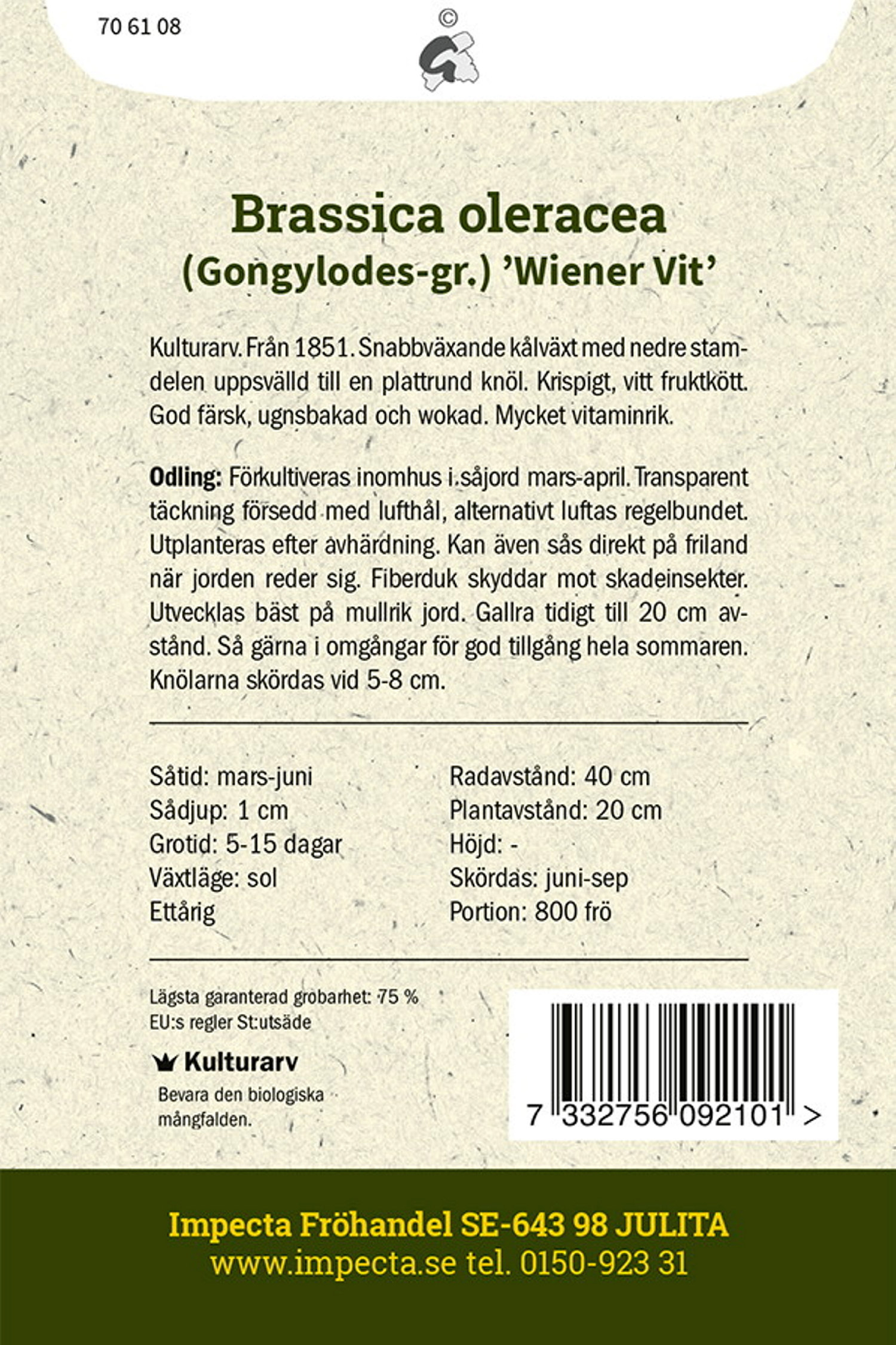 Kålrabbi 'Wiener Vit'