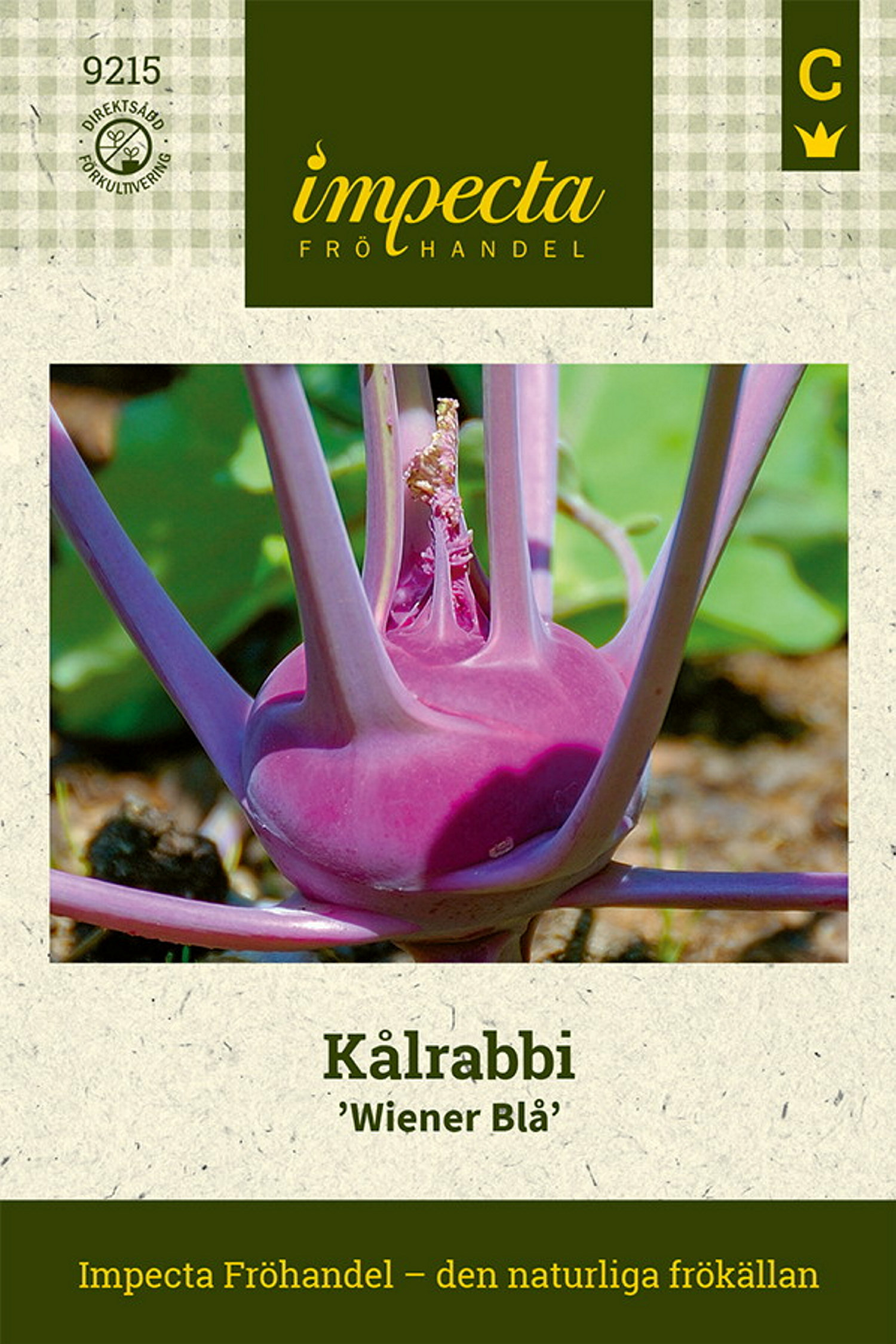 Brassica oleracea 'Wiener Blå'