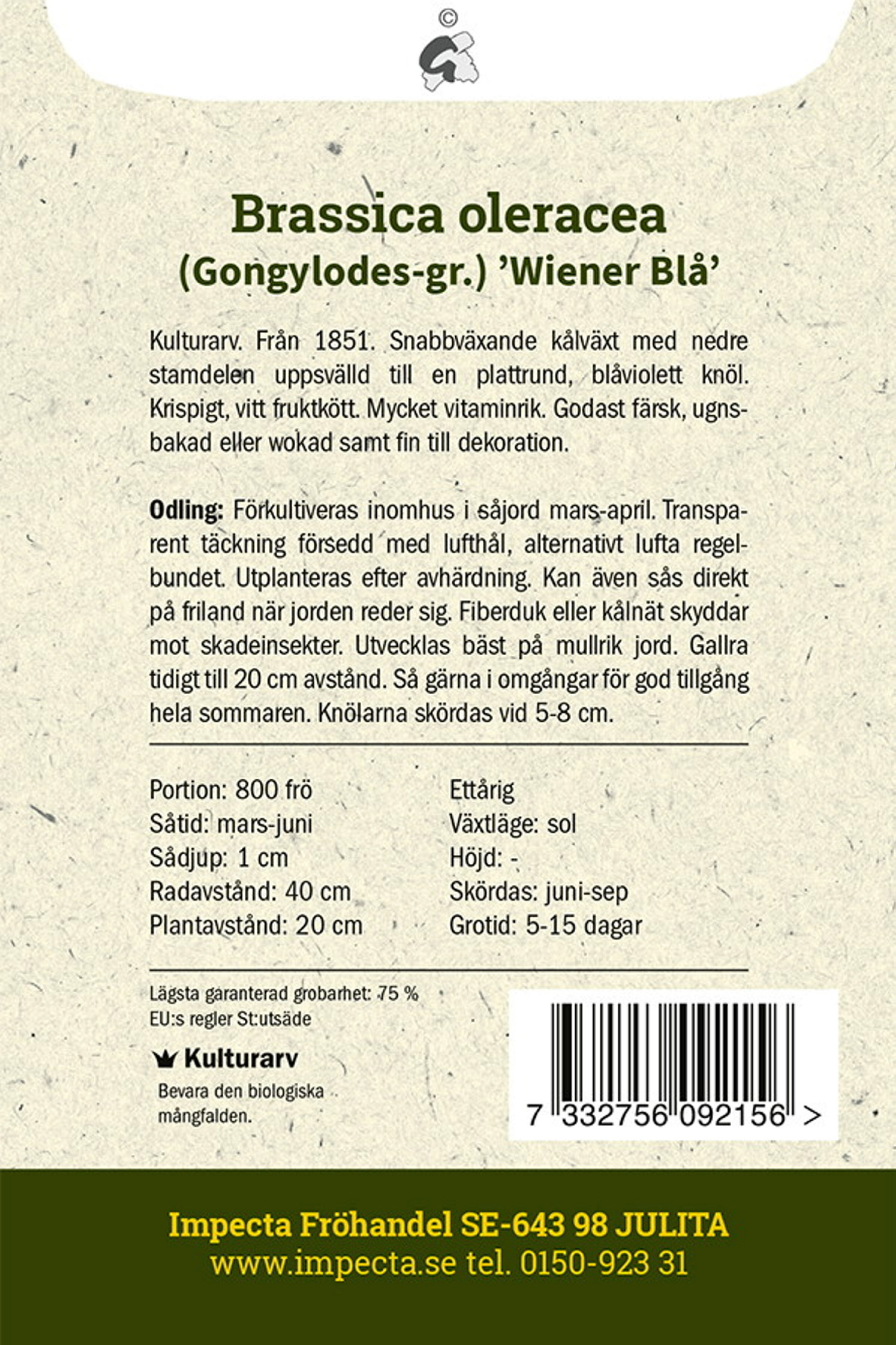 Brassica oleracea 'Wiener Blå'