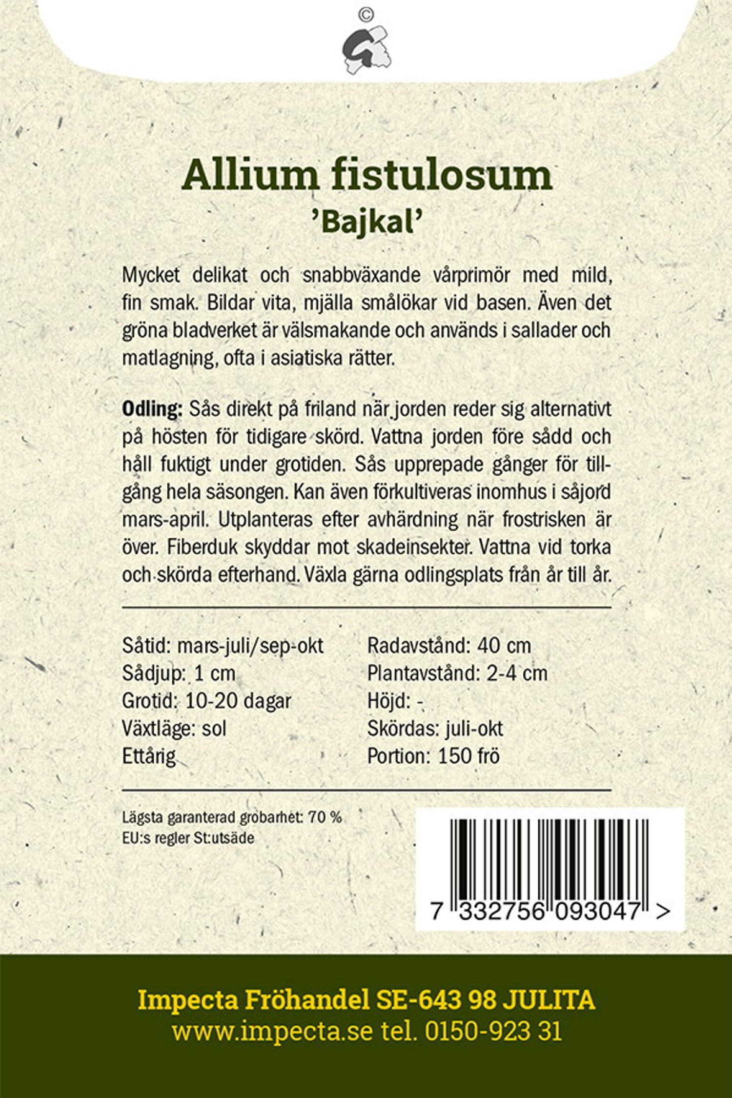 Salladslök 'Bajkal'