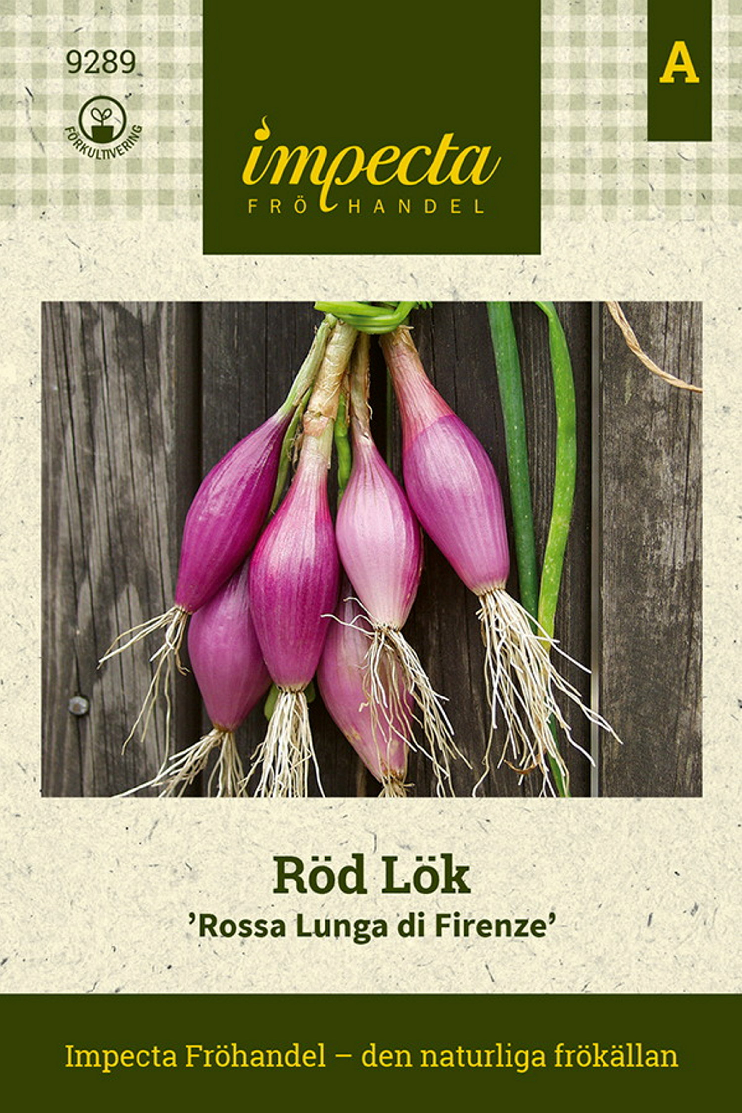 Röd Lök 'Long Red Florence'