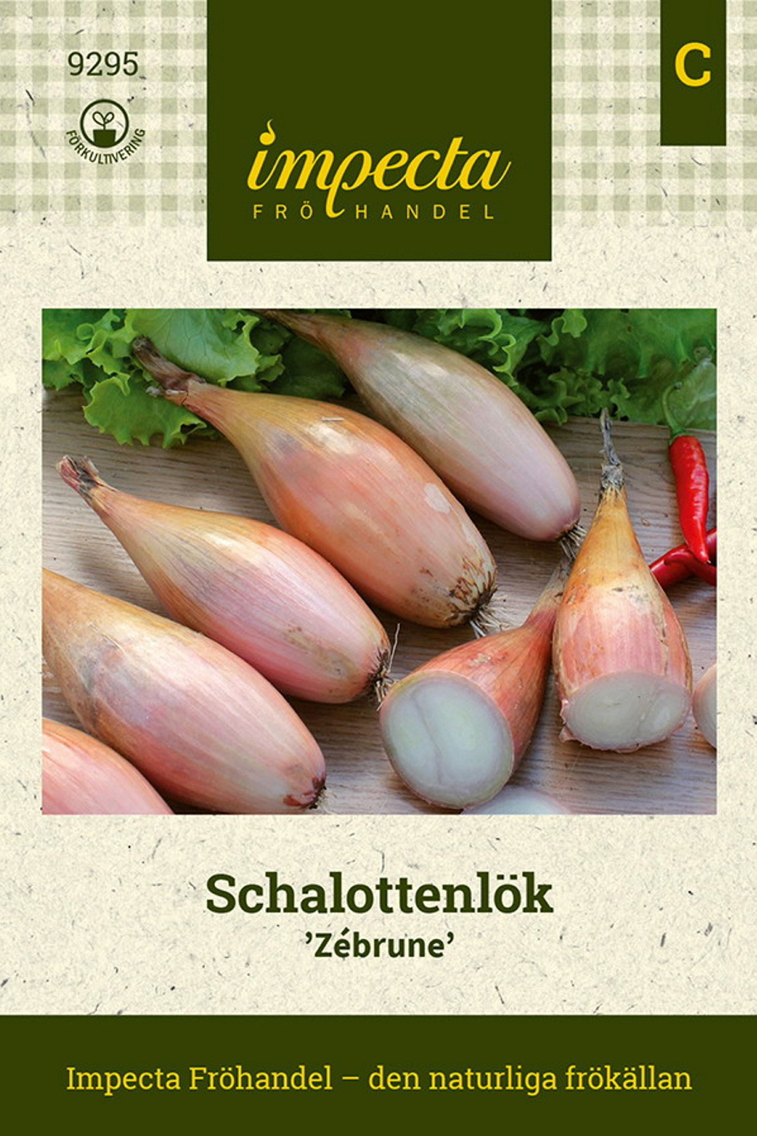 Schalottenlök 'Zébrune'
