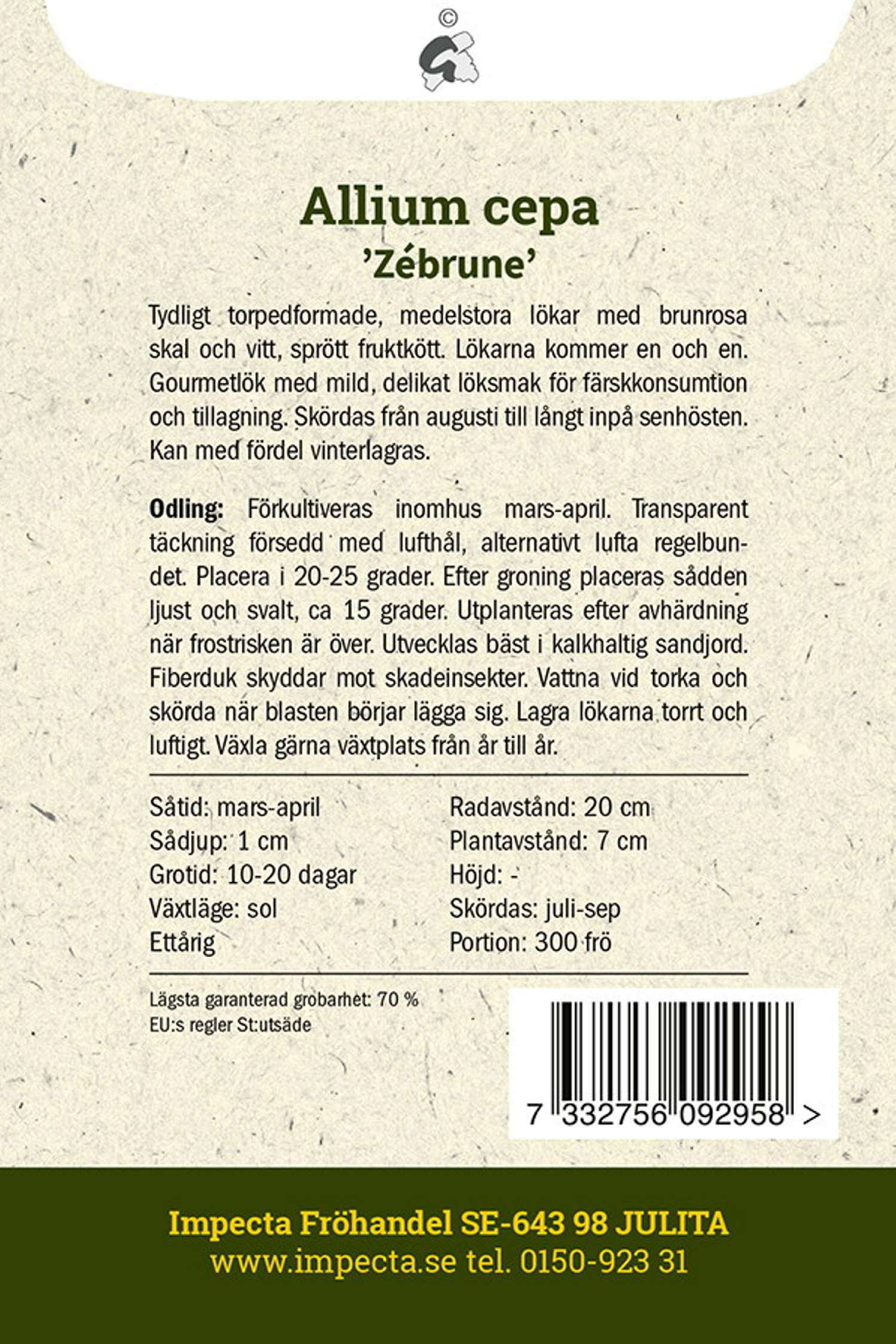Schalottenlök 'Zébrune'