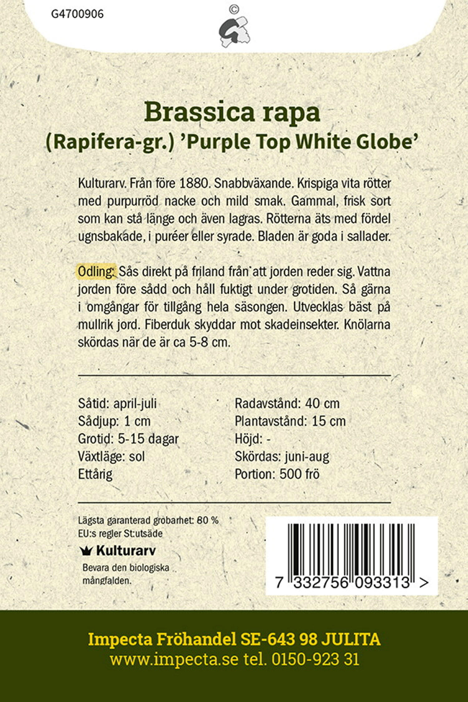 Majrova 'Purple Top White Globe'
