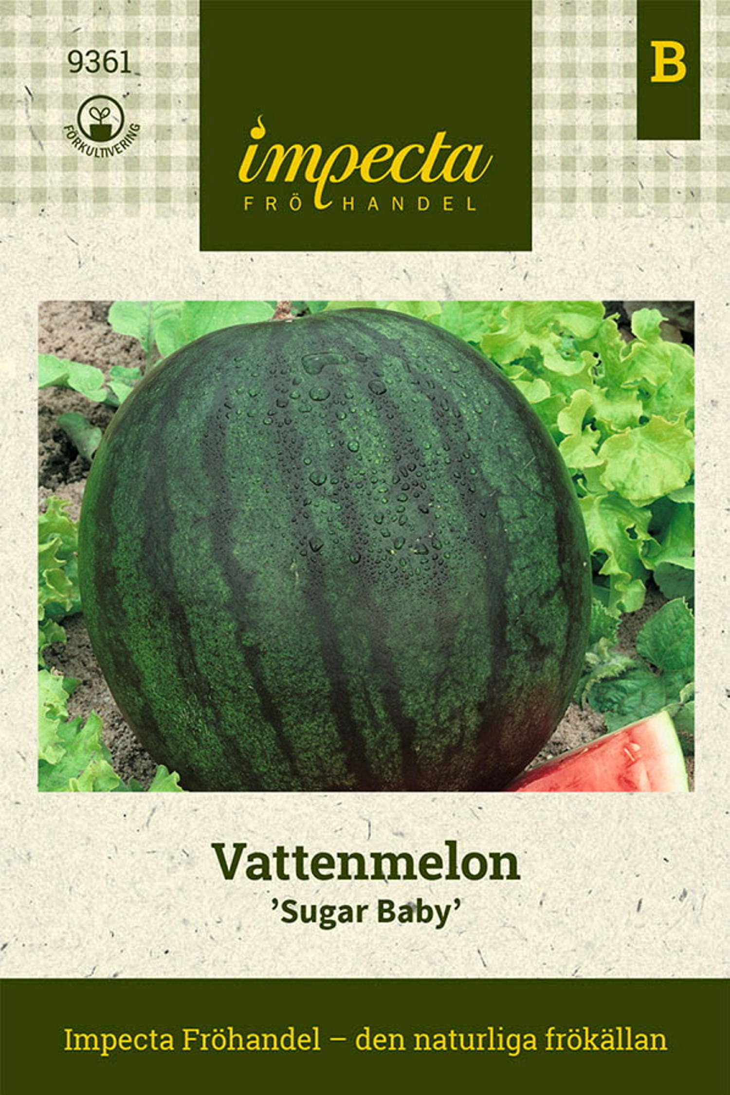 Vattenmelon 'Sugar Baby'