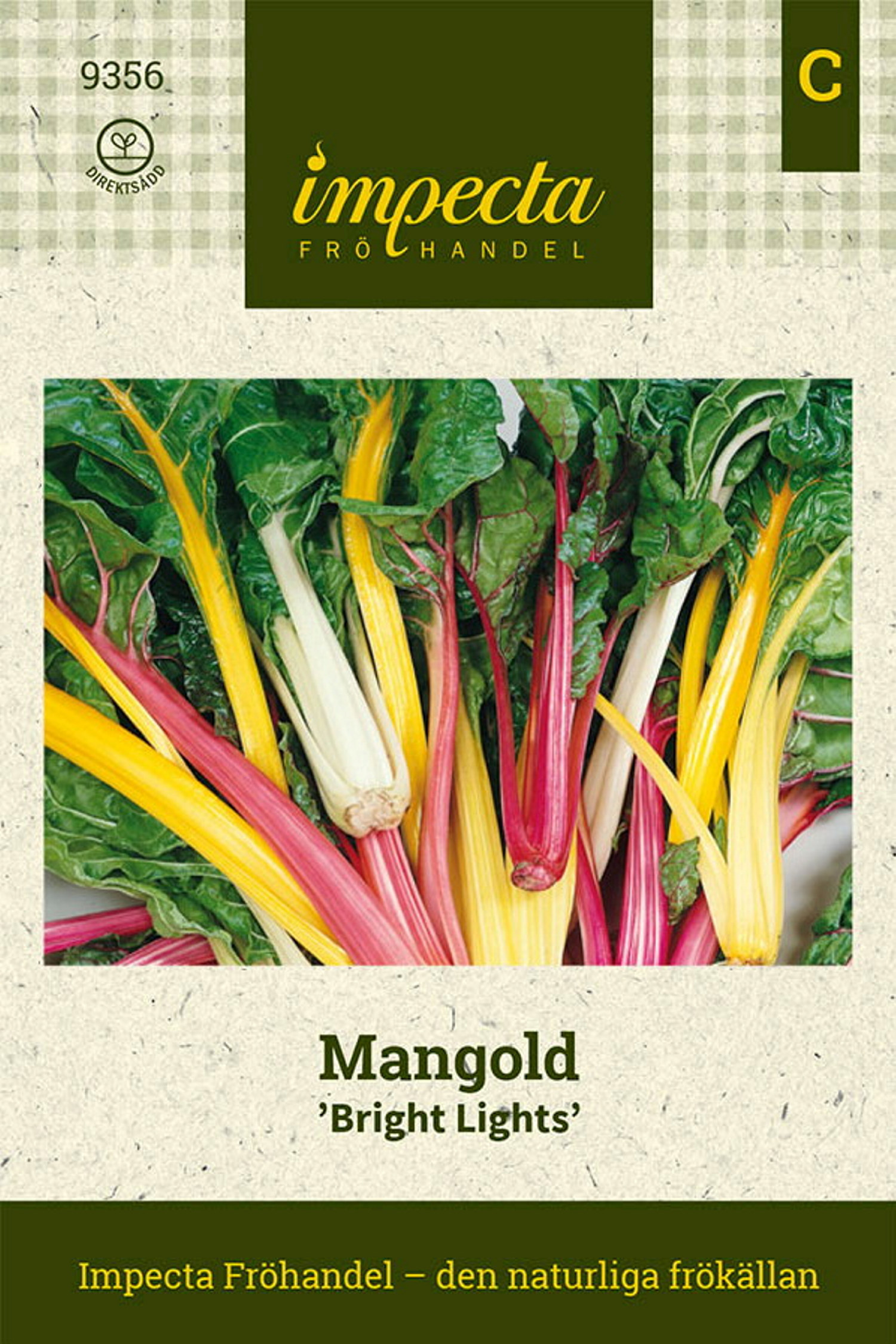 Mangold 'Bright Lights'