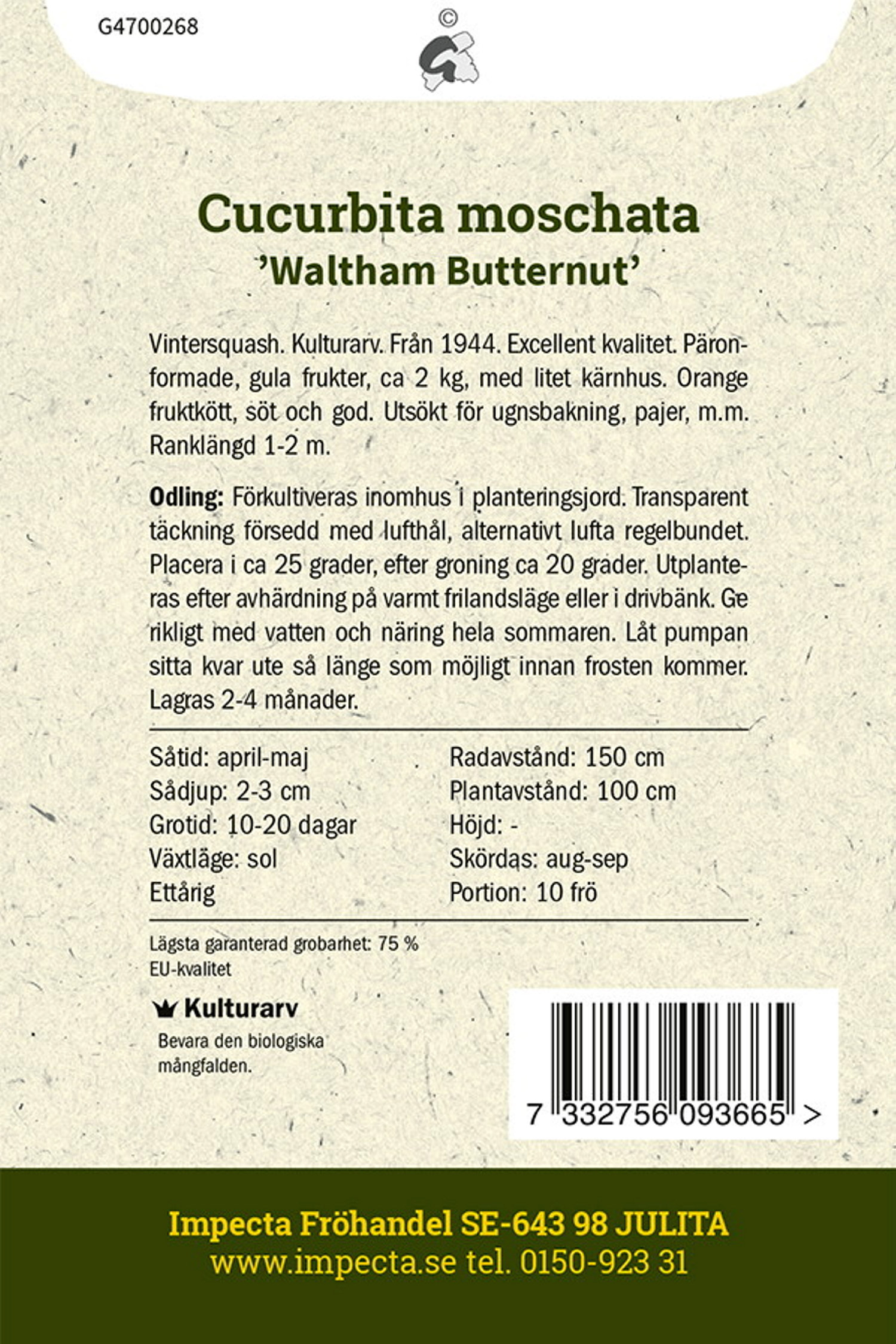 Myskpumpa 'Waltham Butternut'