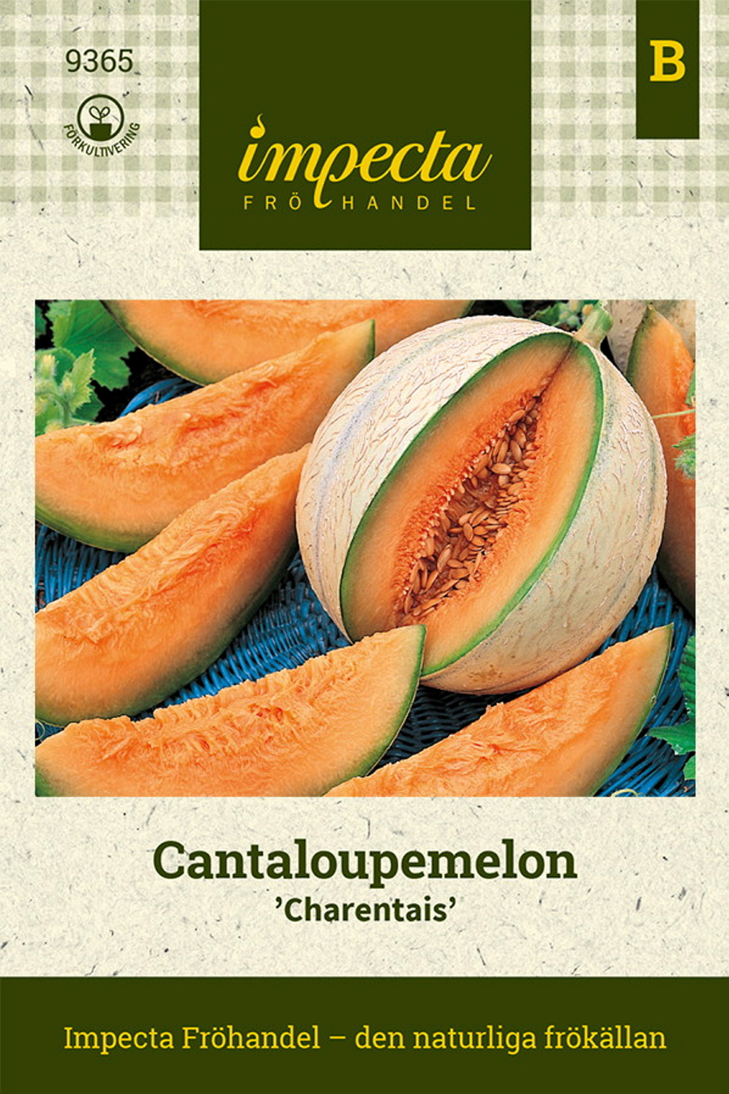 Cantaloupemelon 'Cantalupo di Charentais'