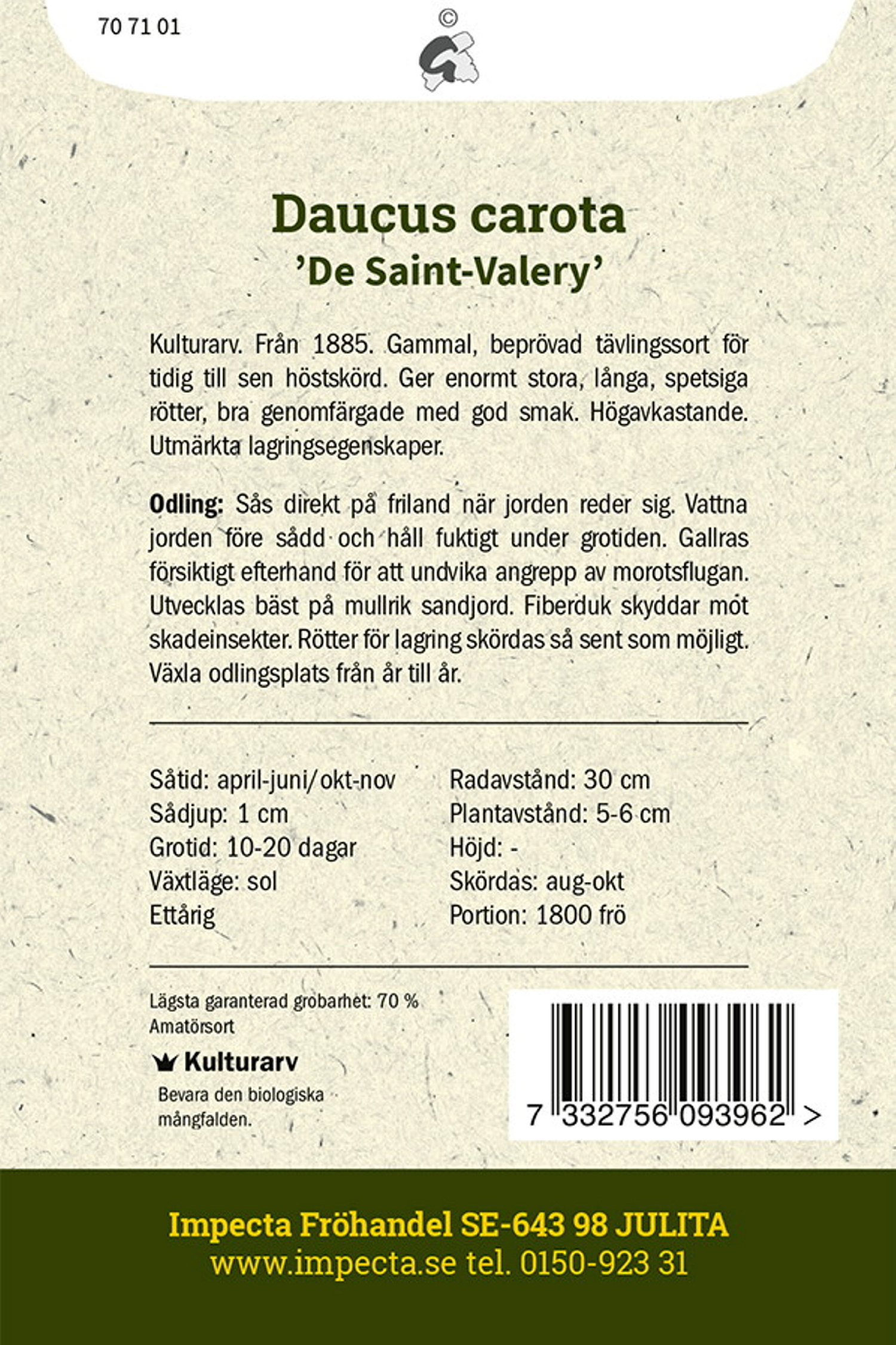 Höstmorot 'St Valéry'