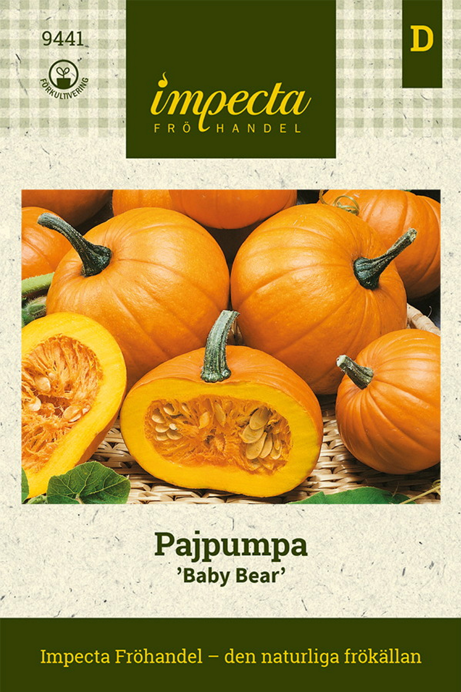 Pajpumpa 'Baby Bear'