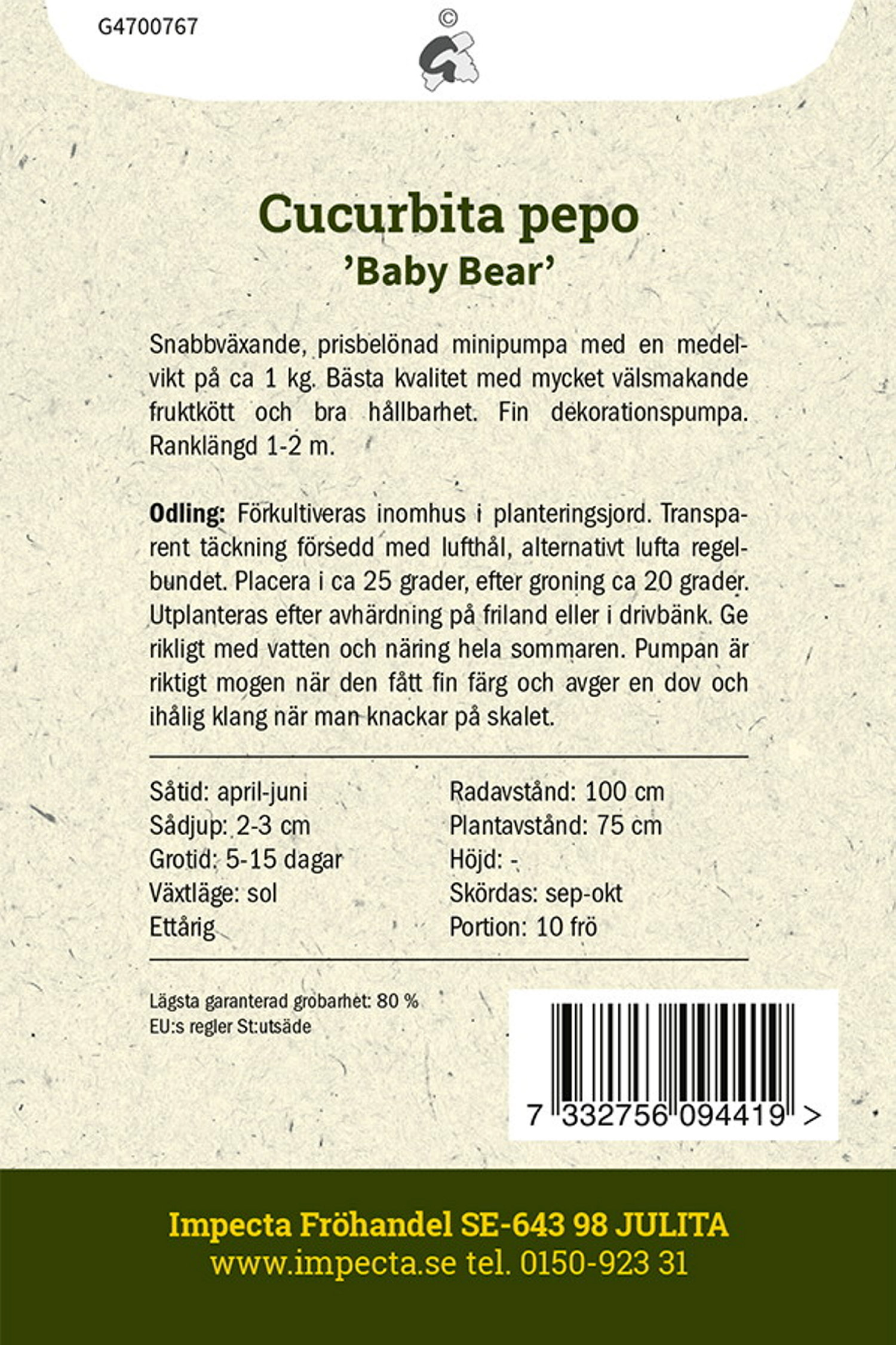 Pajpumpa 'Baby Bear'