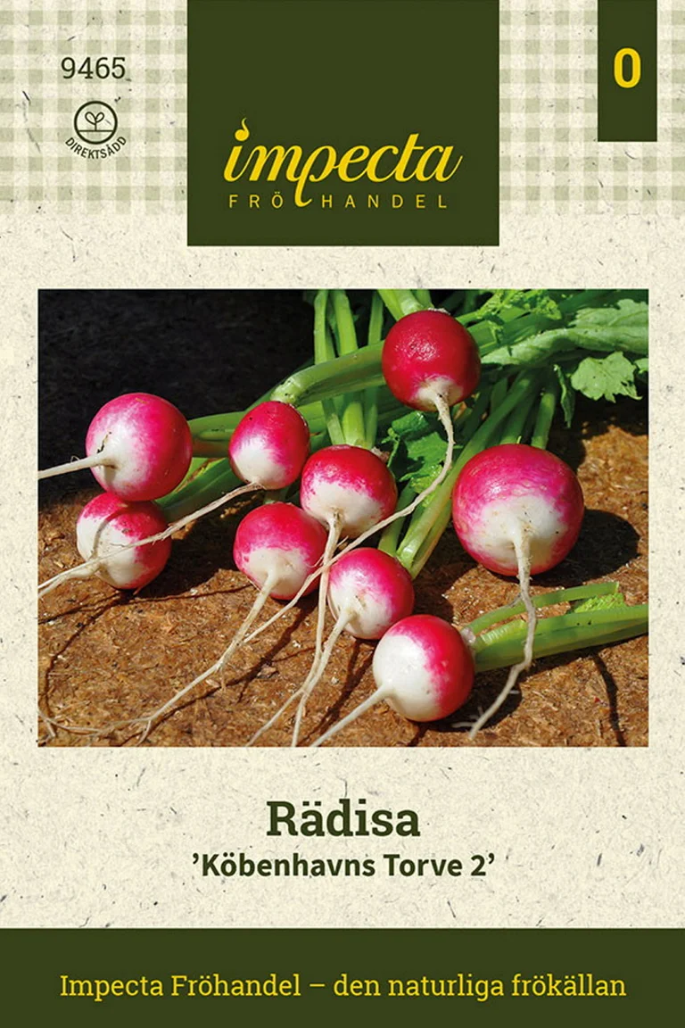 Rädisa Köbenhavns Torve 2