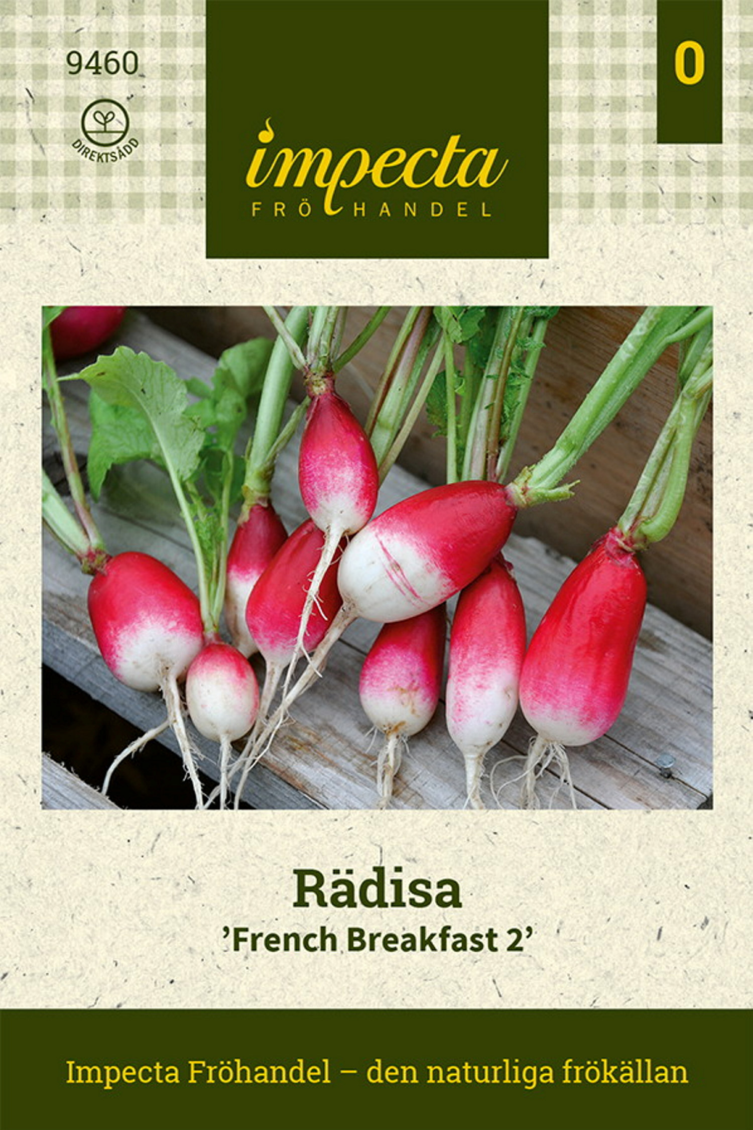 Raphanus sativus 'French Breakfast 2'