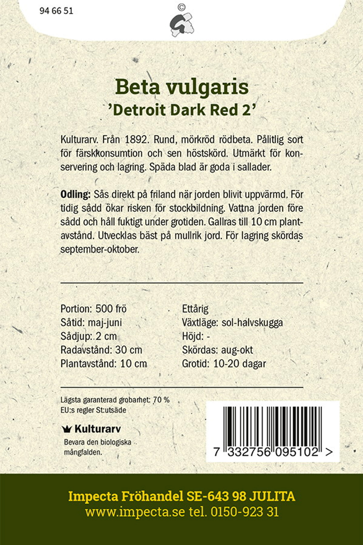 Rödbeta 'Detroit Dark Red 2'