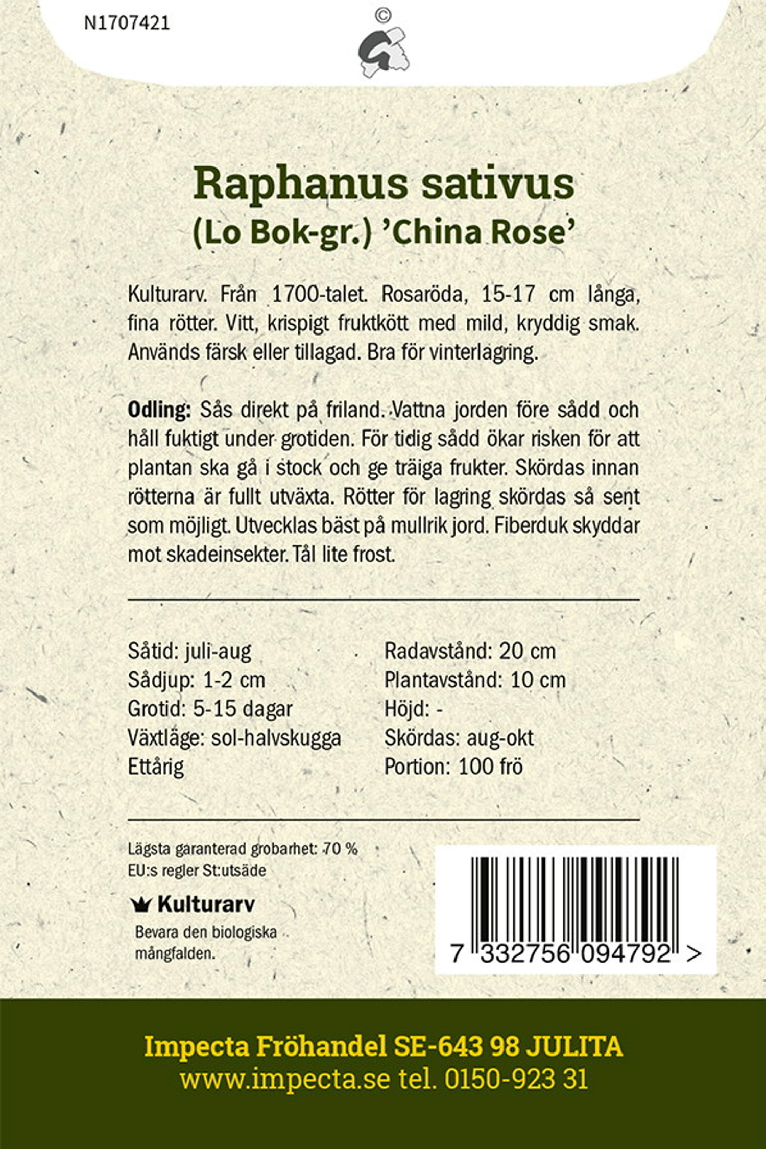 Kinesisk Rättika 'China Rose'