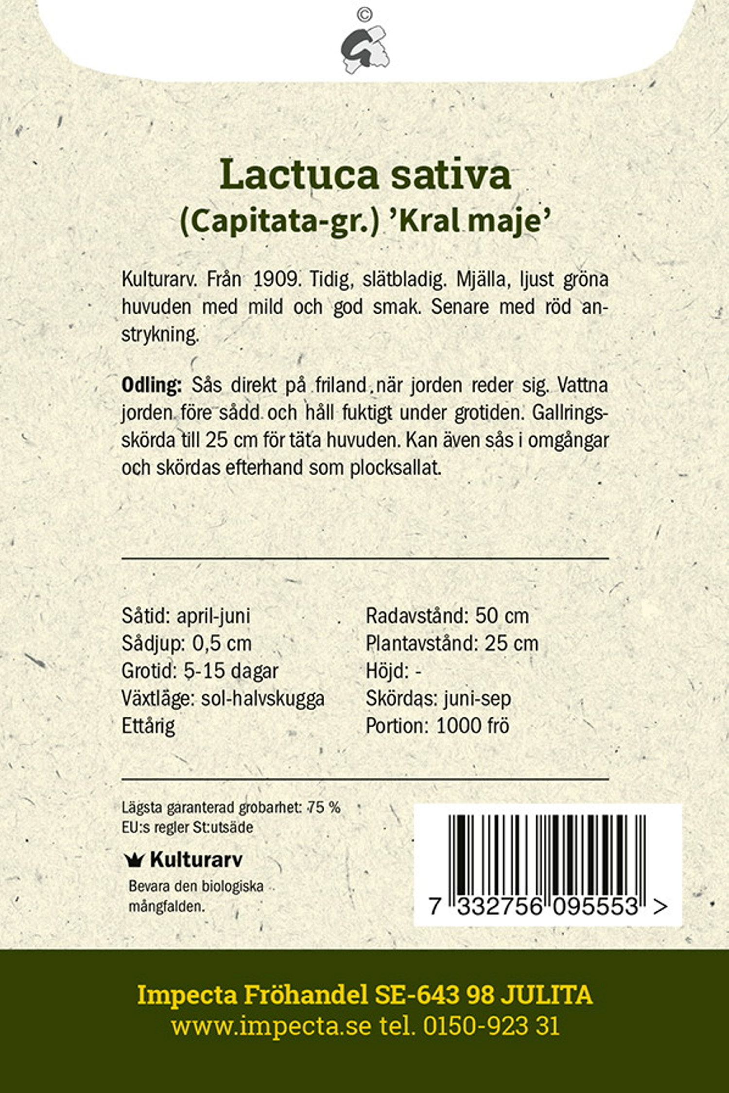 Lactuca sativa 'Král Máje I'