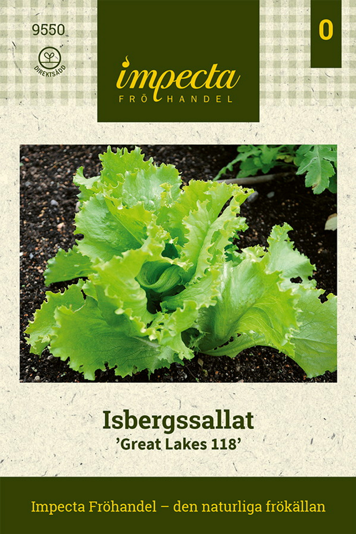 Isbergssallat 'Great Lakes 118'