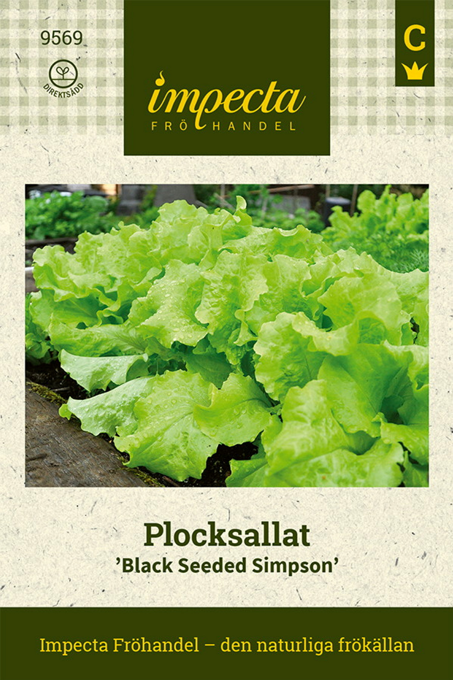 Plocksallat 'Black Seeded Simpson'