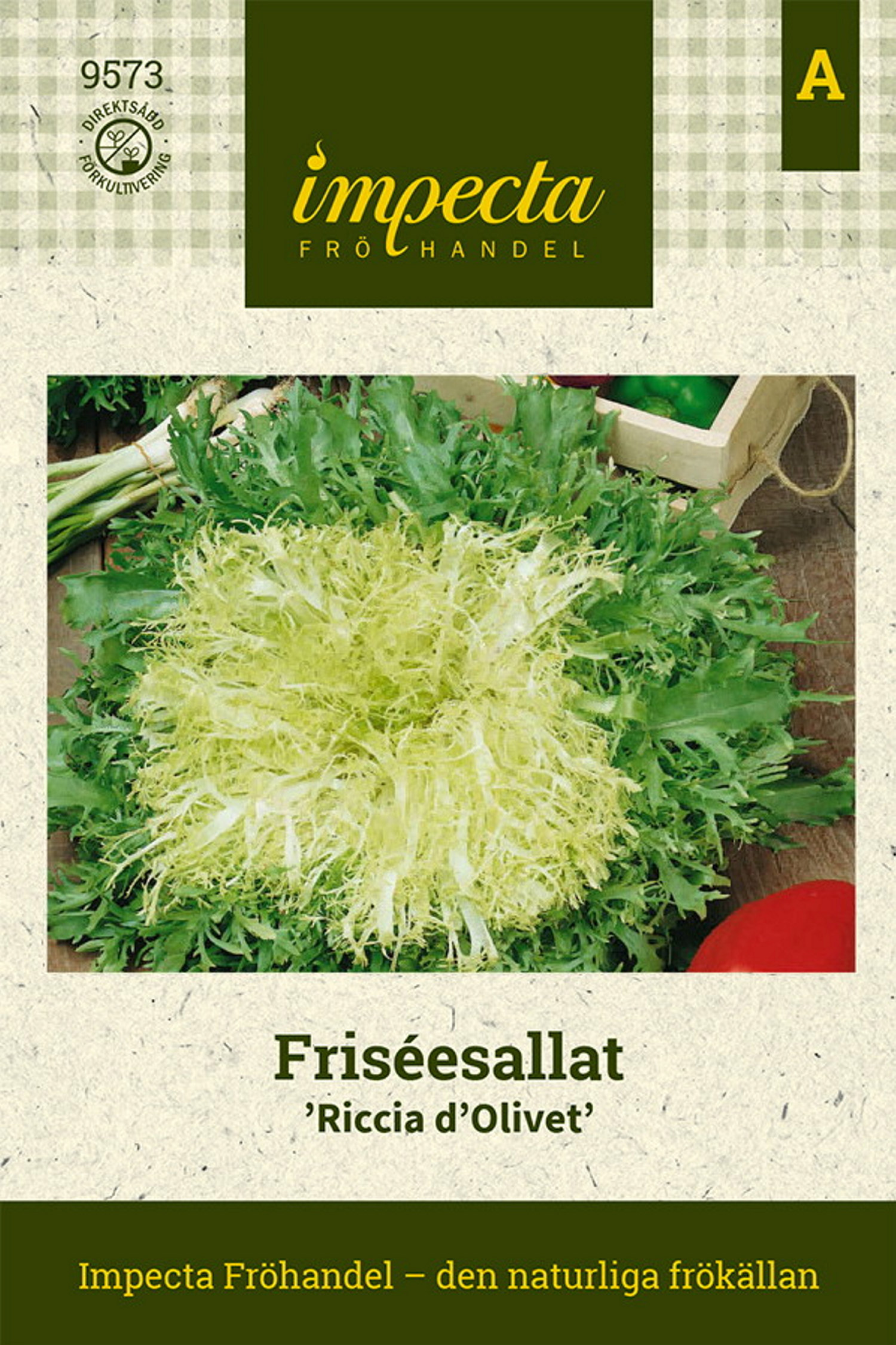 Friséesallat 'Riccia d'Olivet'