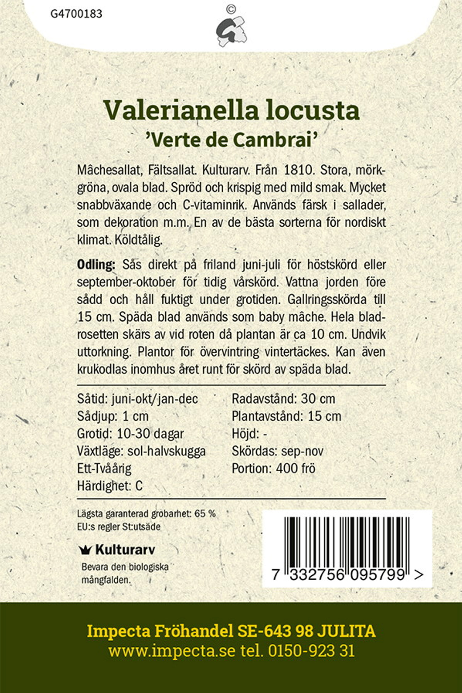 Valerianella locusta 'Verte de Cambrai'