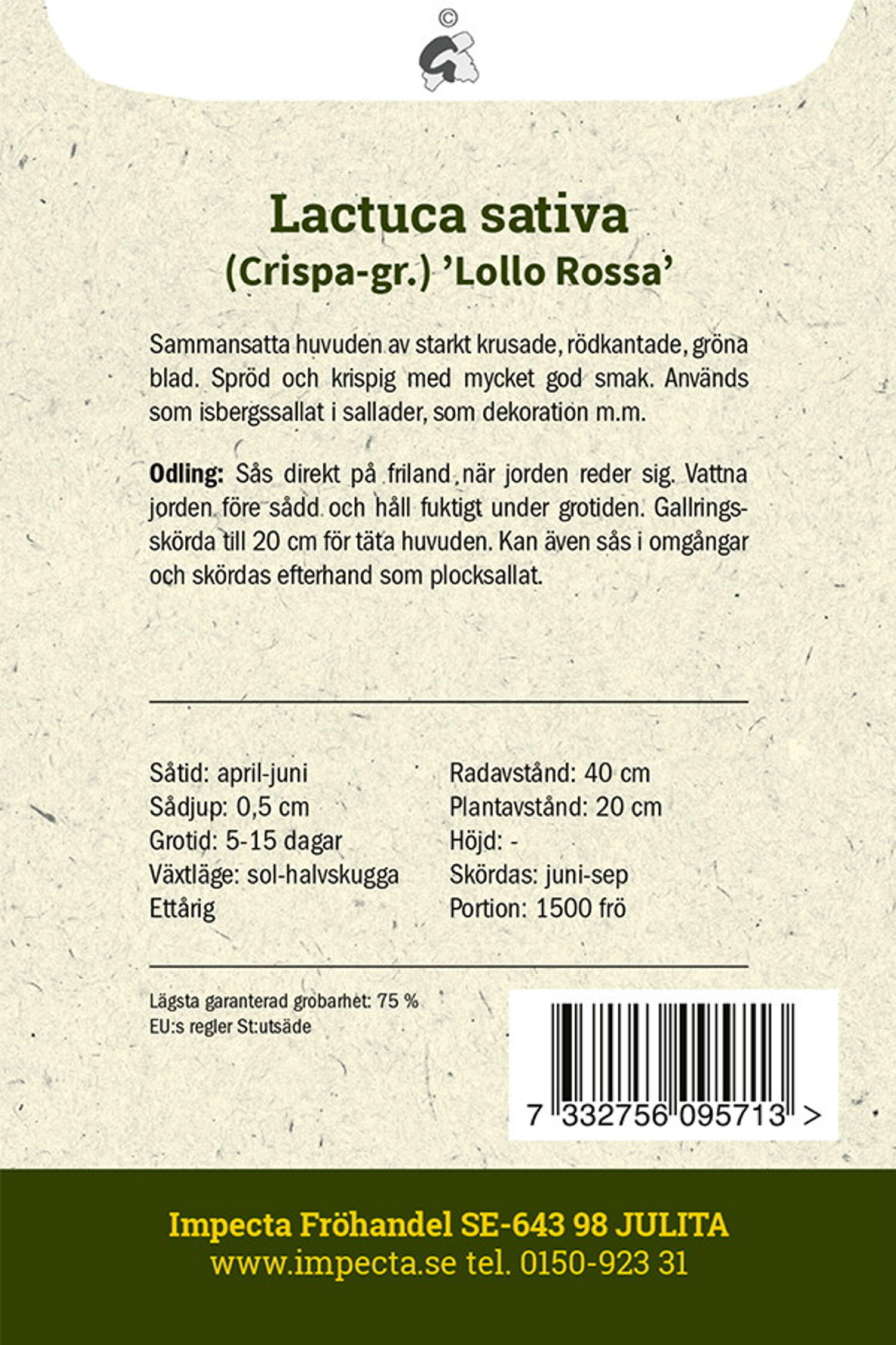 Lactuca sativa 'Lollo Rossa'