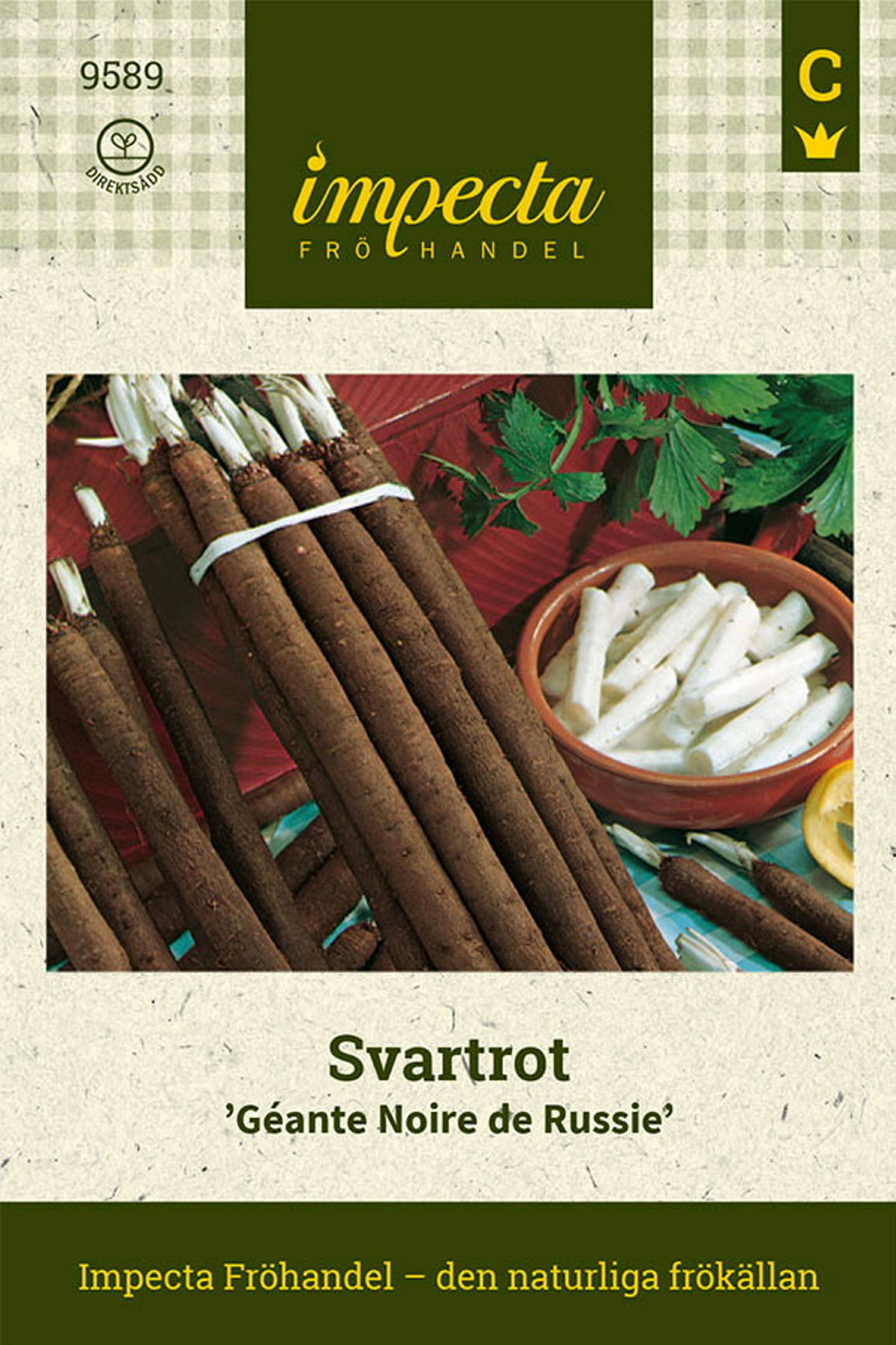 Scorzonera hispanica 'Géante Noire de Russie'