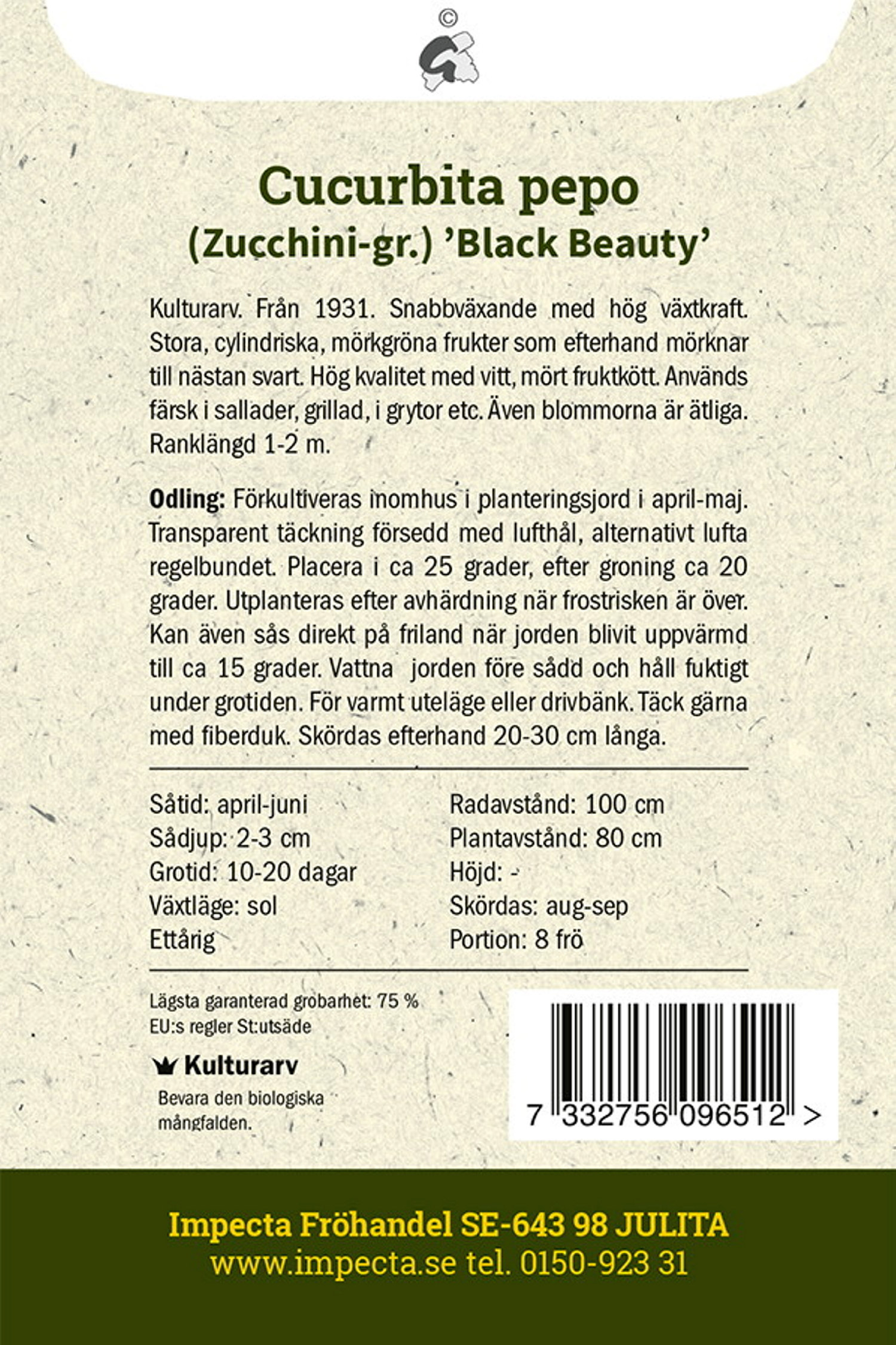 Squash 'Black Beauty'