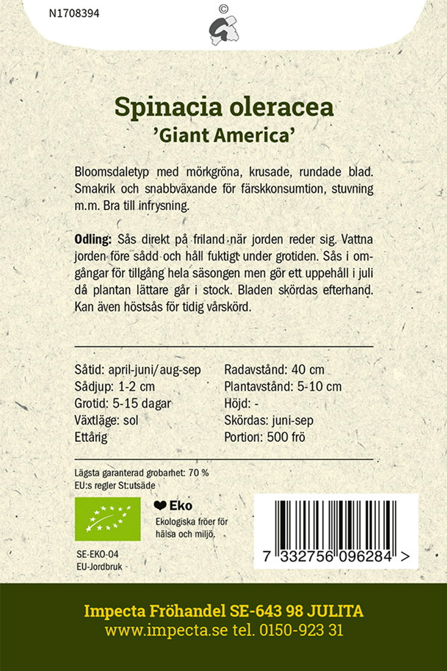 Spenat 'Giant America'