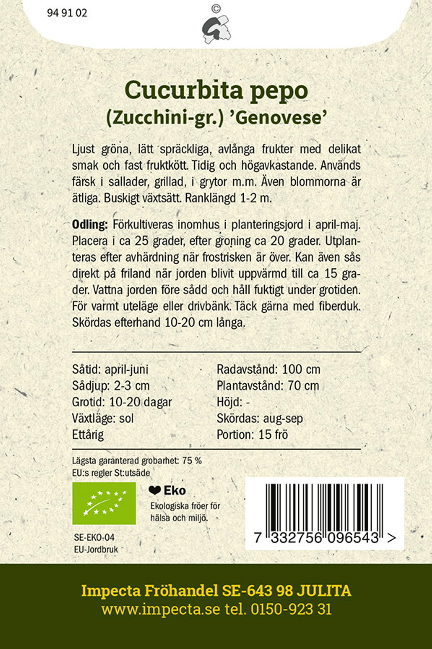 Squash 'Genovese'