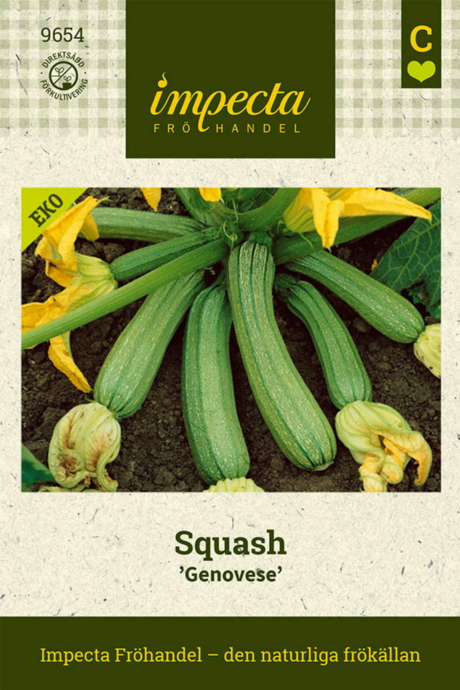 Squash 'Genovese'