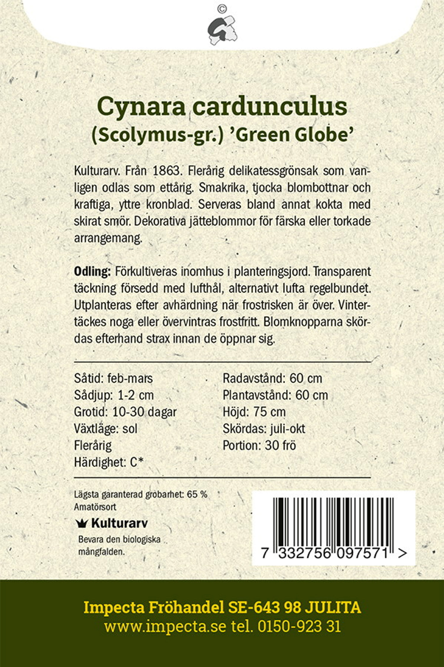 Kronärtskocka 'Green Globe'