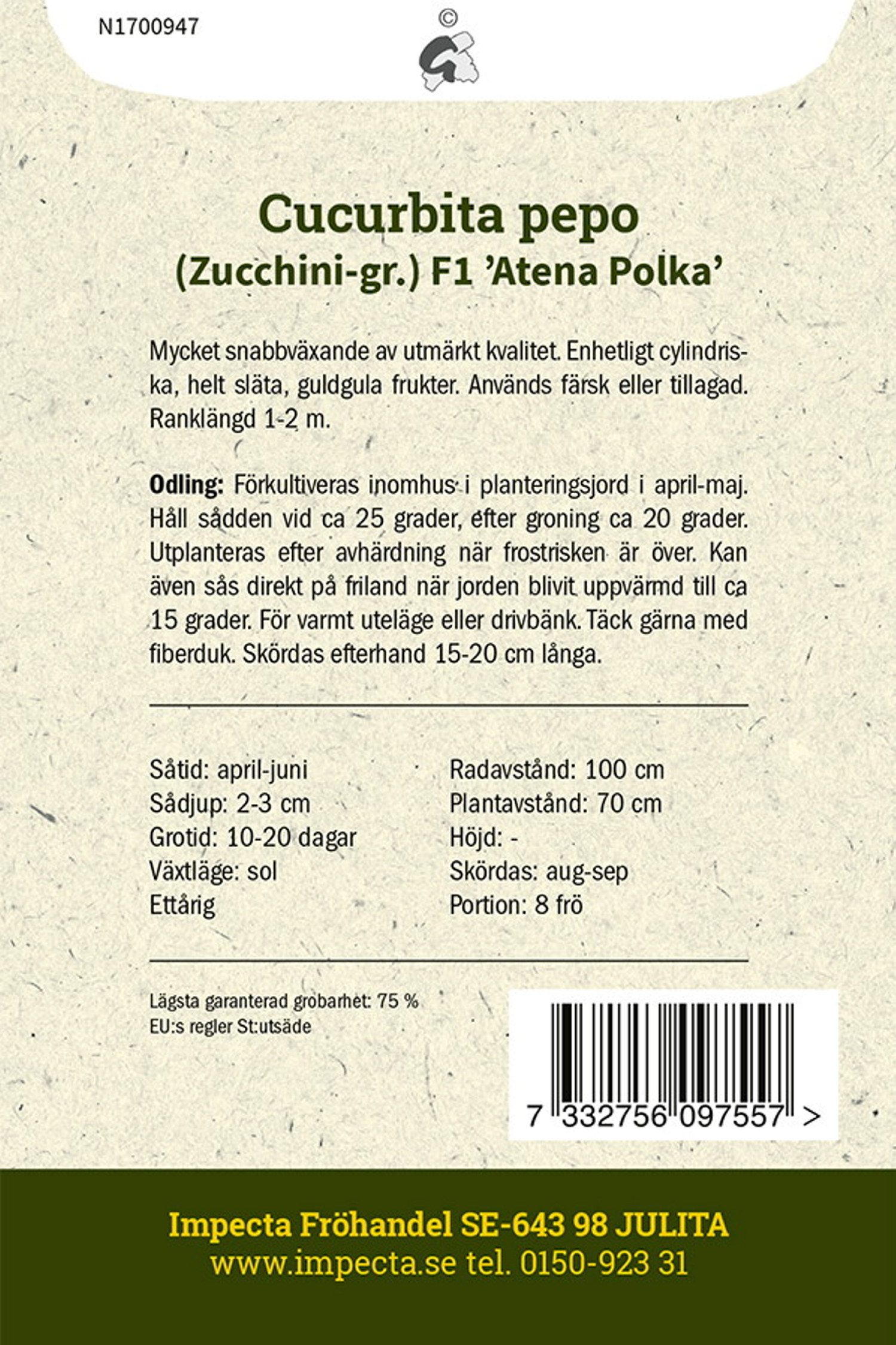 Squash F1 'Atena Polka'