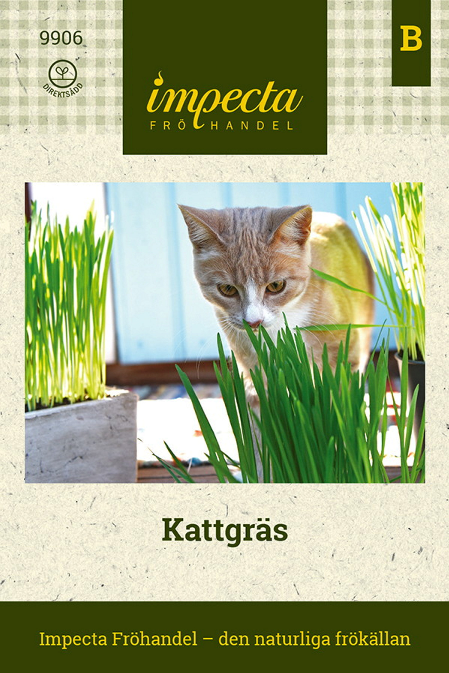 Kattgräs