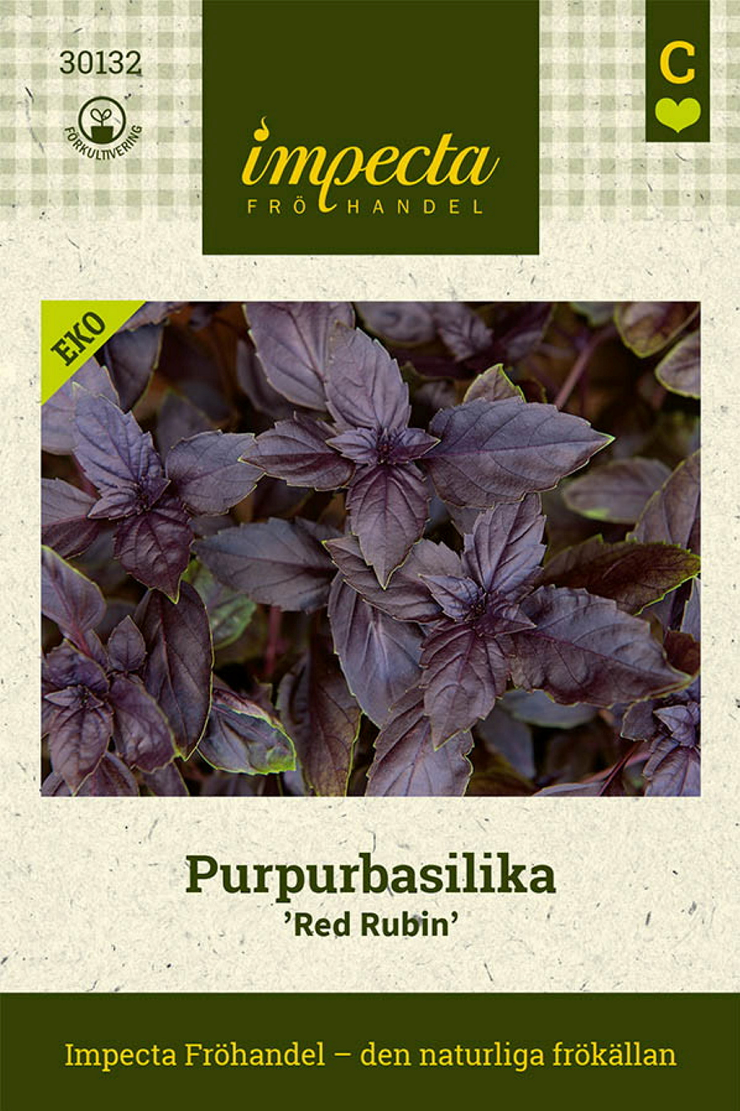 Purpurbasilika 'Red Rubin'