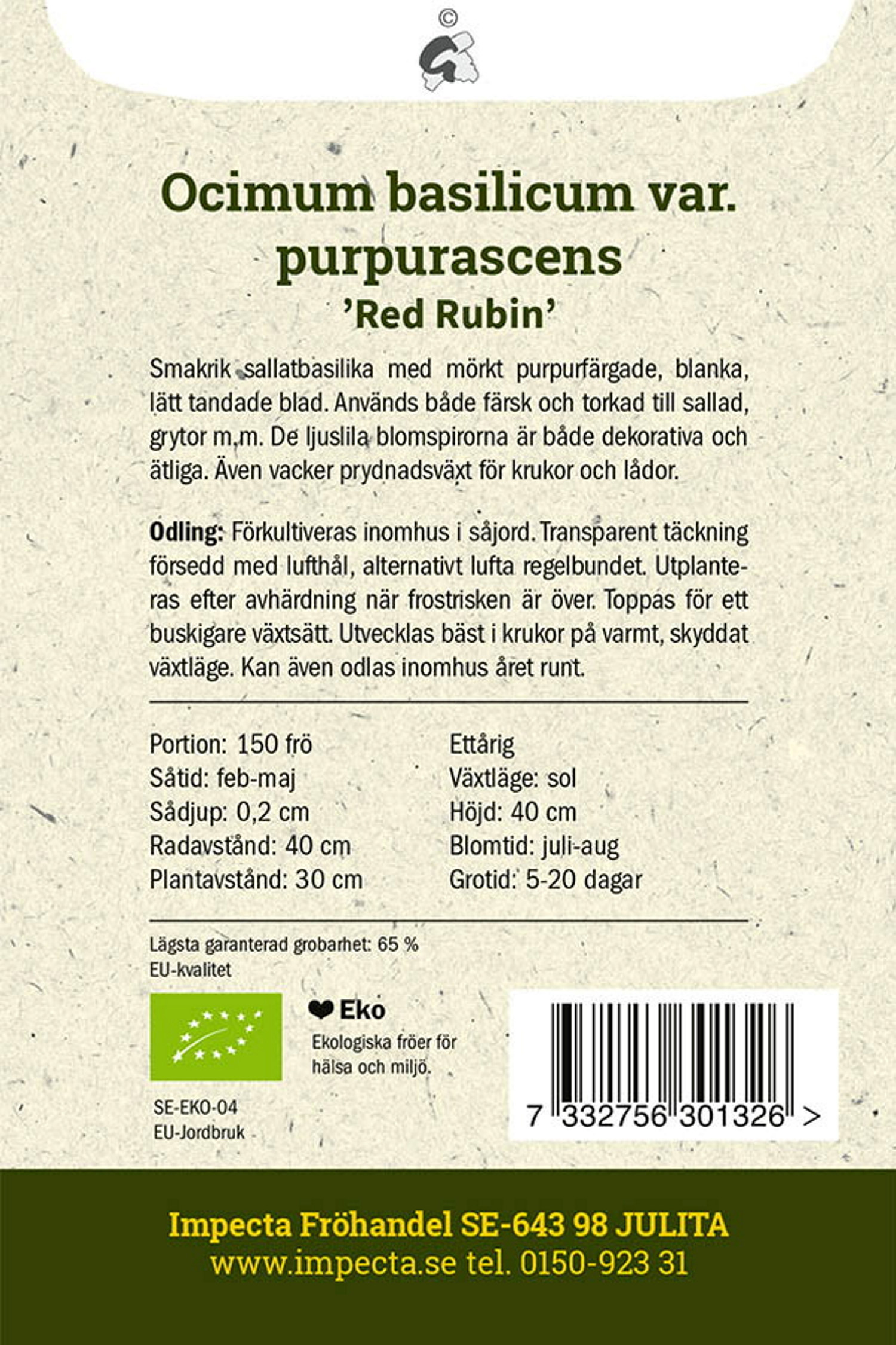 Purpurbasilika 'Red Rubin'