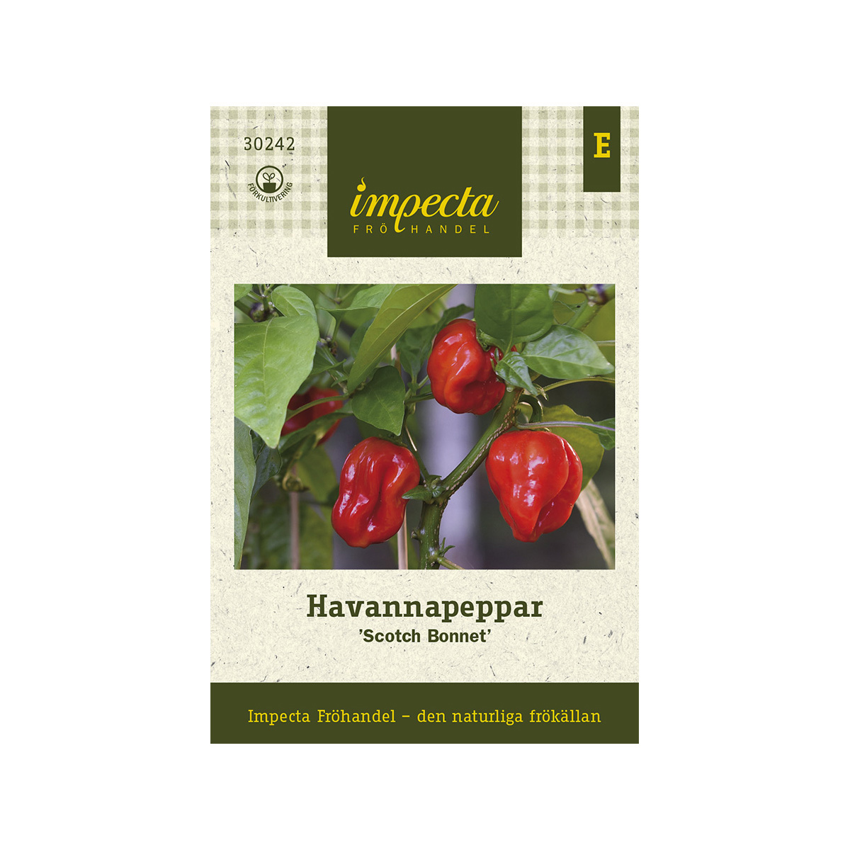 Havannapeppar 'Scotch Bonnet'