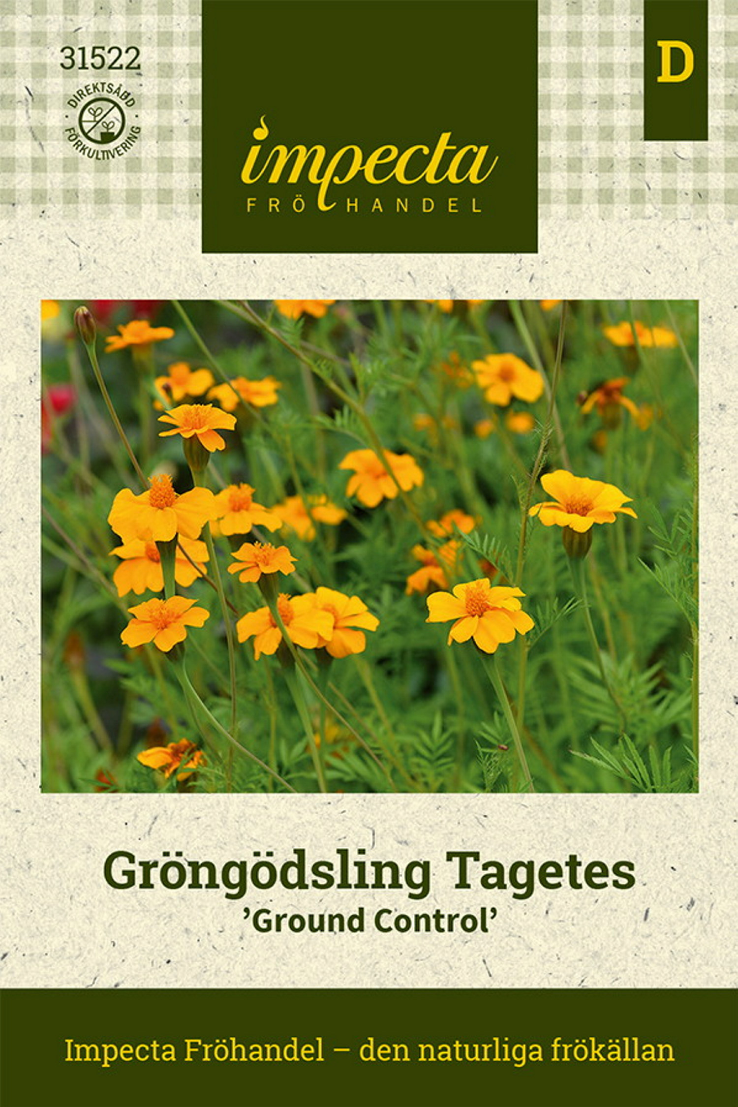 Tagetes patula 'Ground Control'