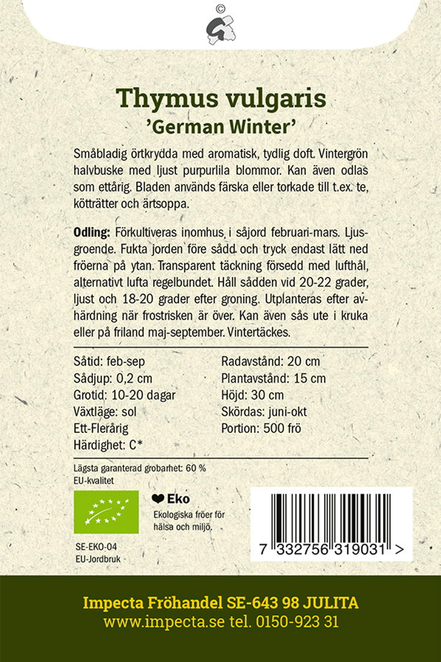 Thymus vulgaris 'German Winter'