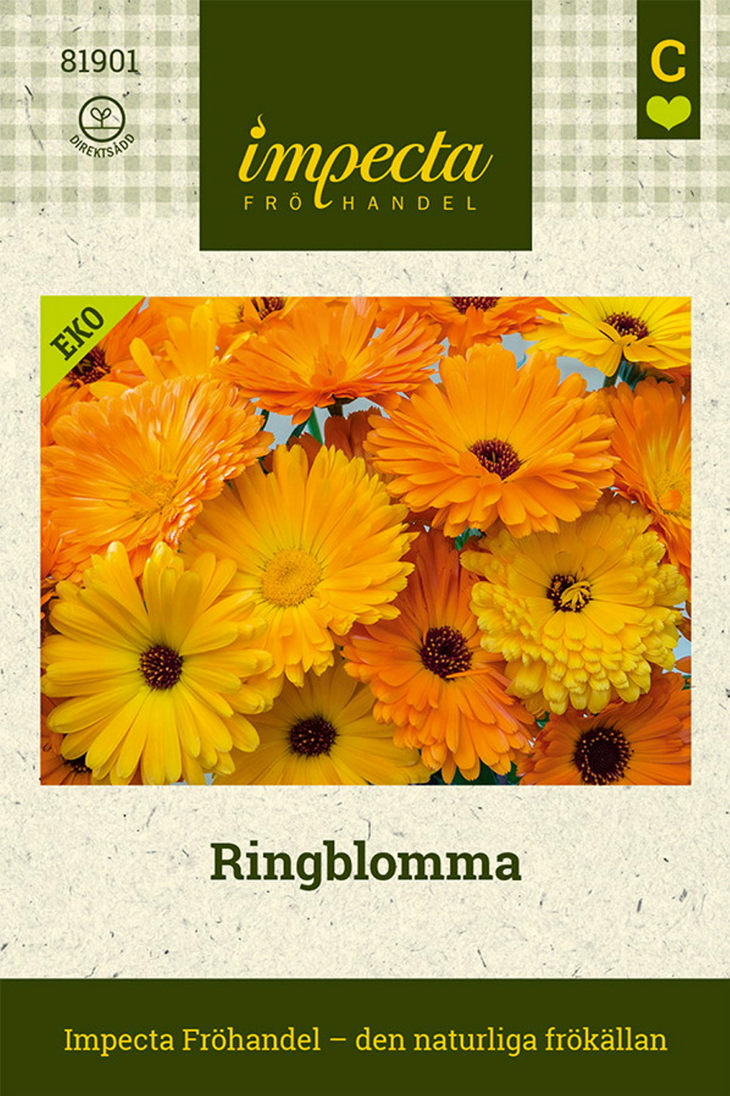 Ringblomma