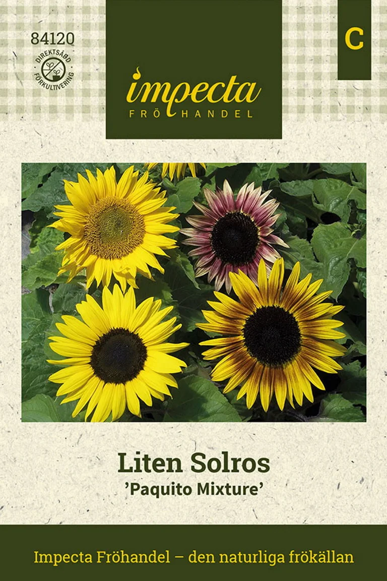 Solros Paquito Mixture