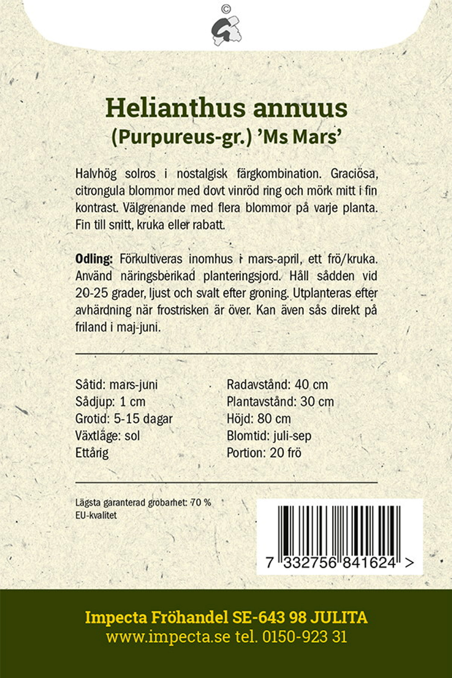 Röd Solros 'Ms Mars'