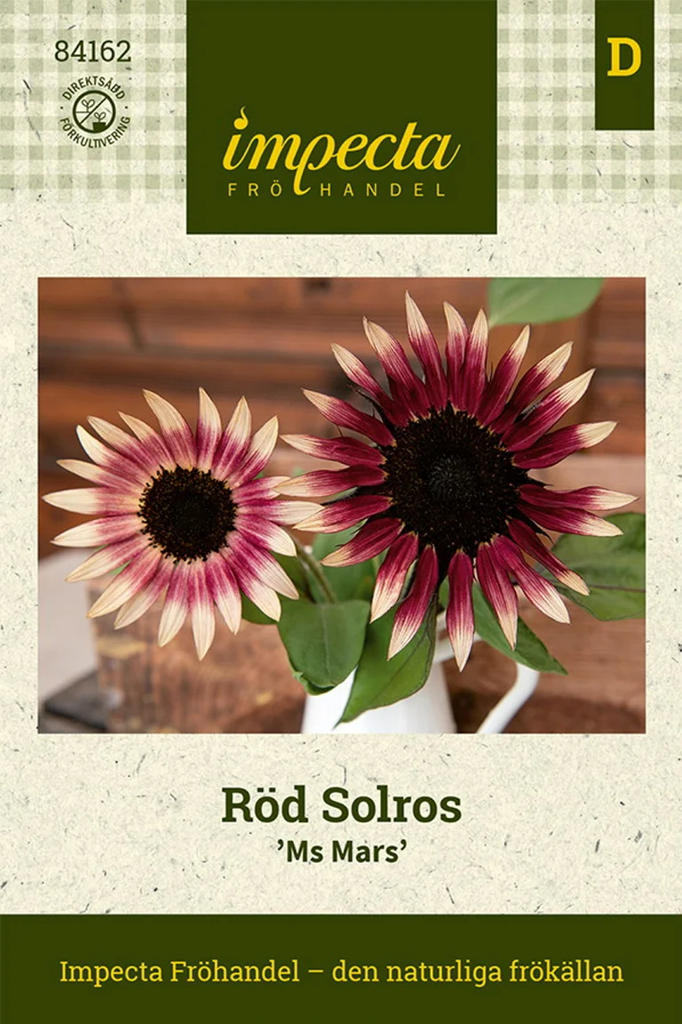Röd Solros Ms Mars