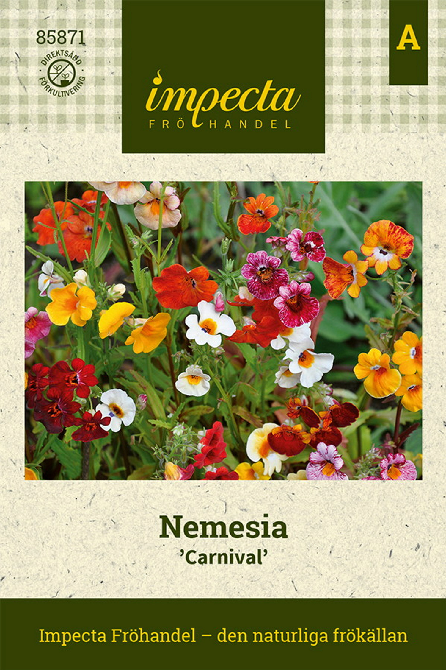 Nemesia 'Carnival'