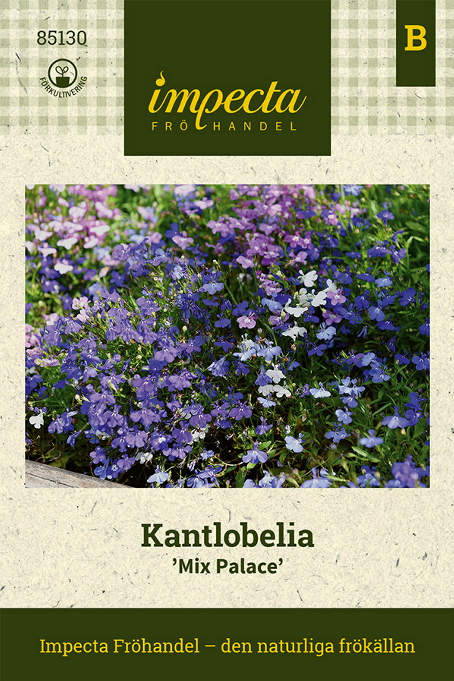 Kantlobelia 'Mix Palace'