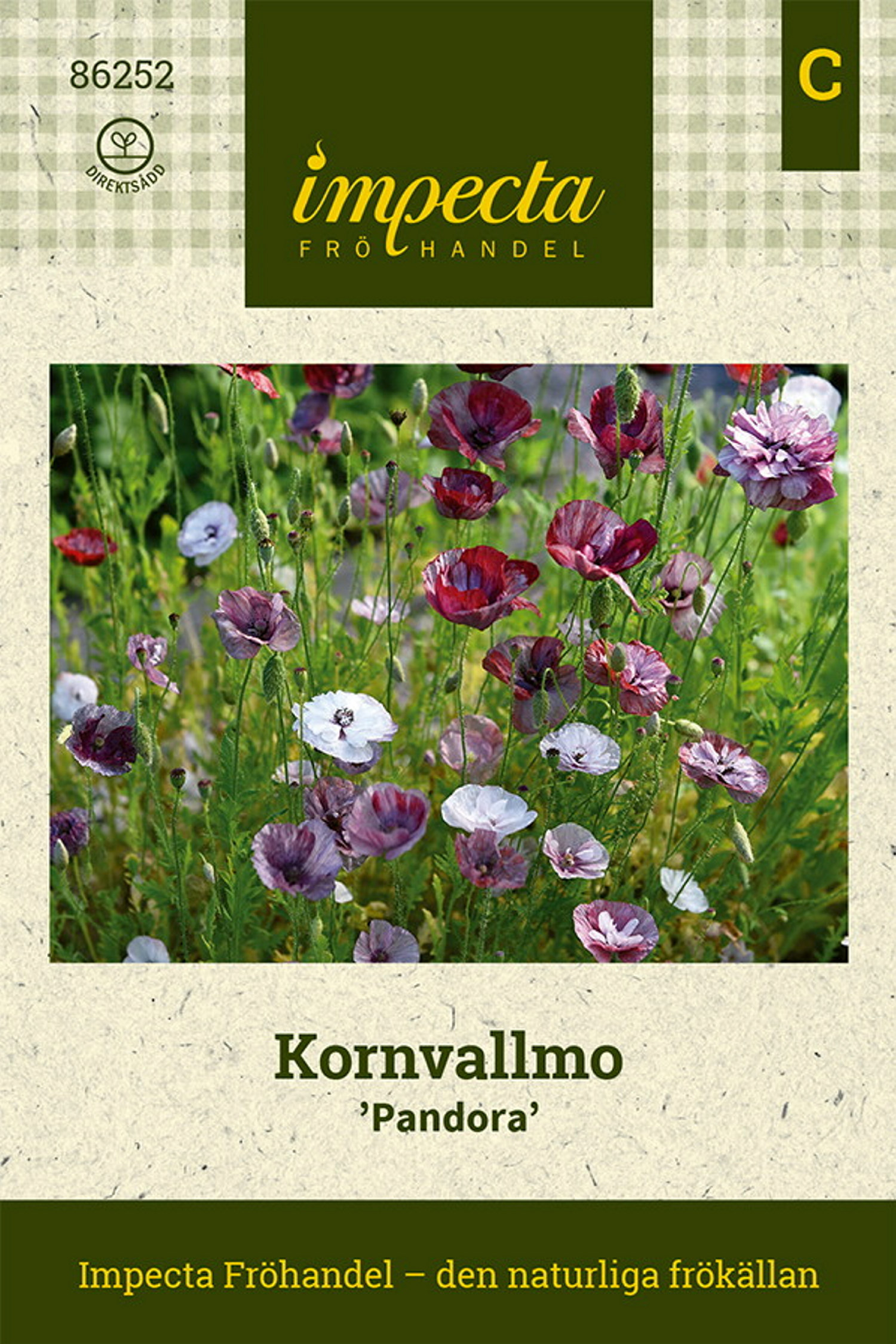 Kornvallmo 'Pandora'