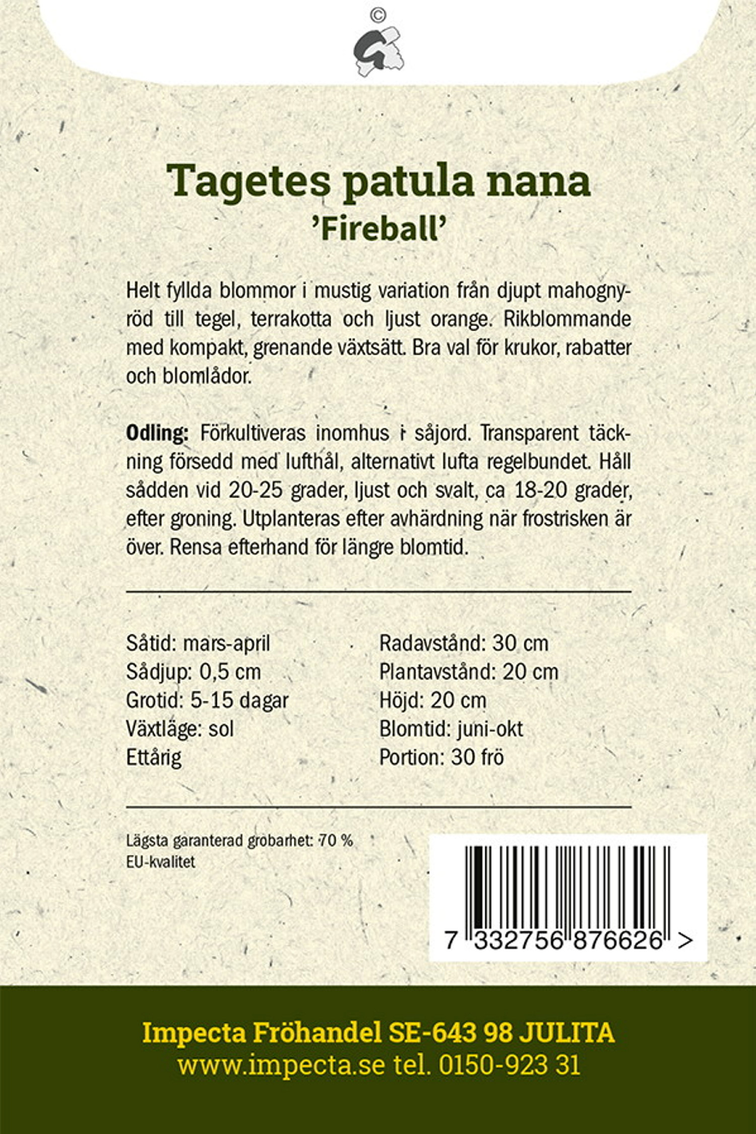 Sammetstagetes 'Fireball'